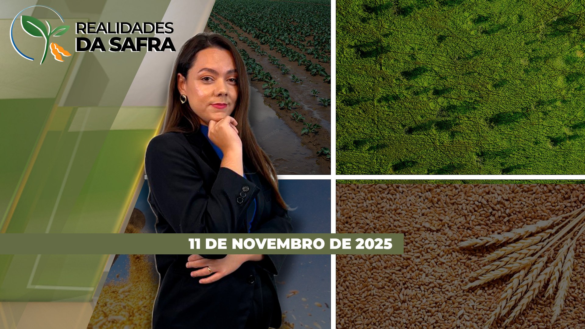 REALIDADES DA SAFRA - EDIÇÃO 11-11-2025
