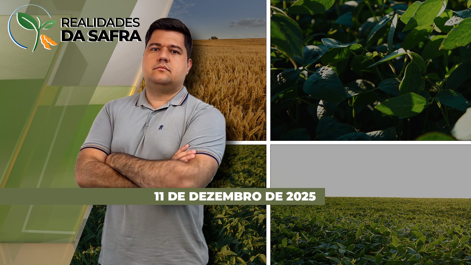 Soja sofre com o clima em Doutor Camargo/PR e Sealba vai finalizando colheita do milho