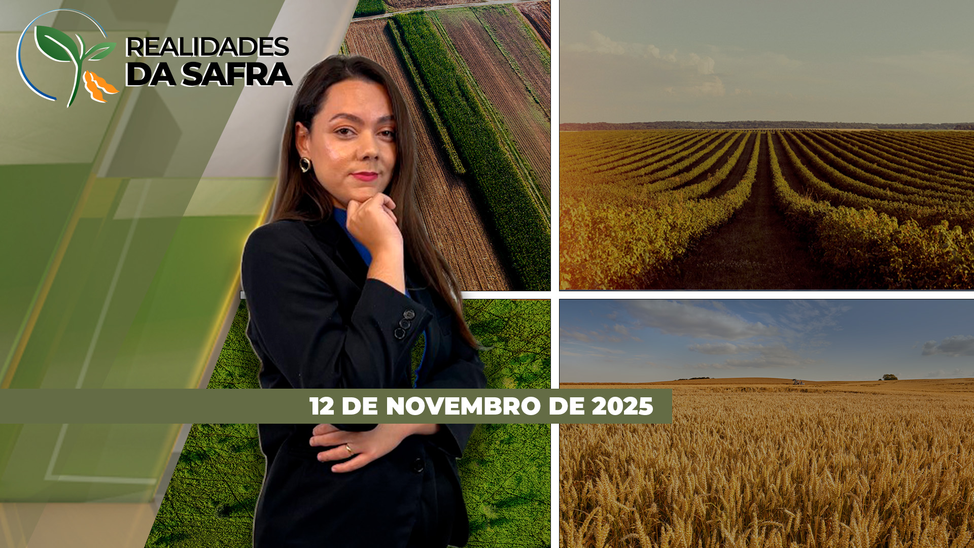 REALIDADES DA SAFRA - EDIÇÃO 12-11-2025