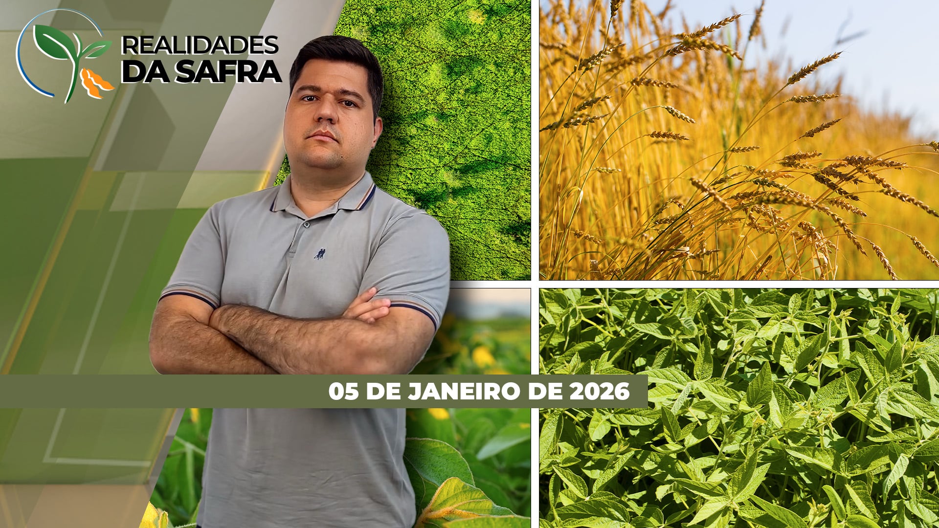Colheita da soja 2025/26 começa pontualmente em Campos de Júlio/MT