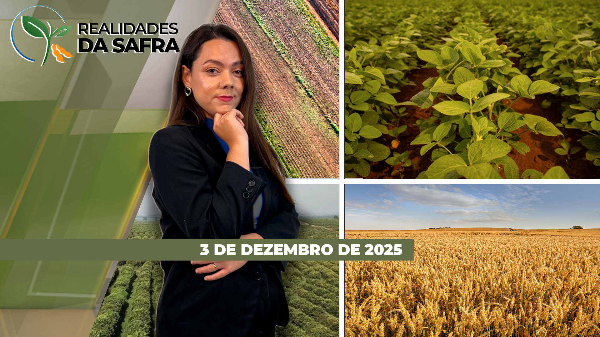 Clima favorece soja em Laguna Carapã/MS; safra em Maringá/PR lida com perdas por doenças radiculares