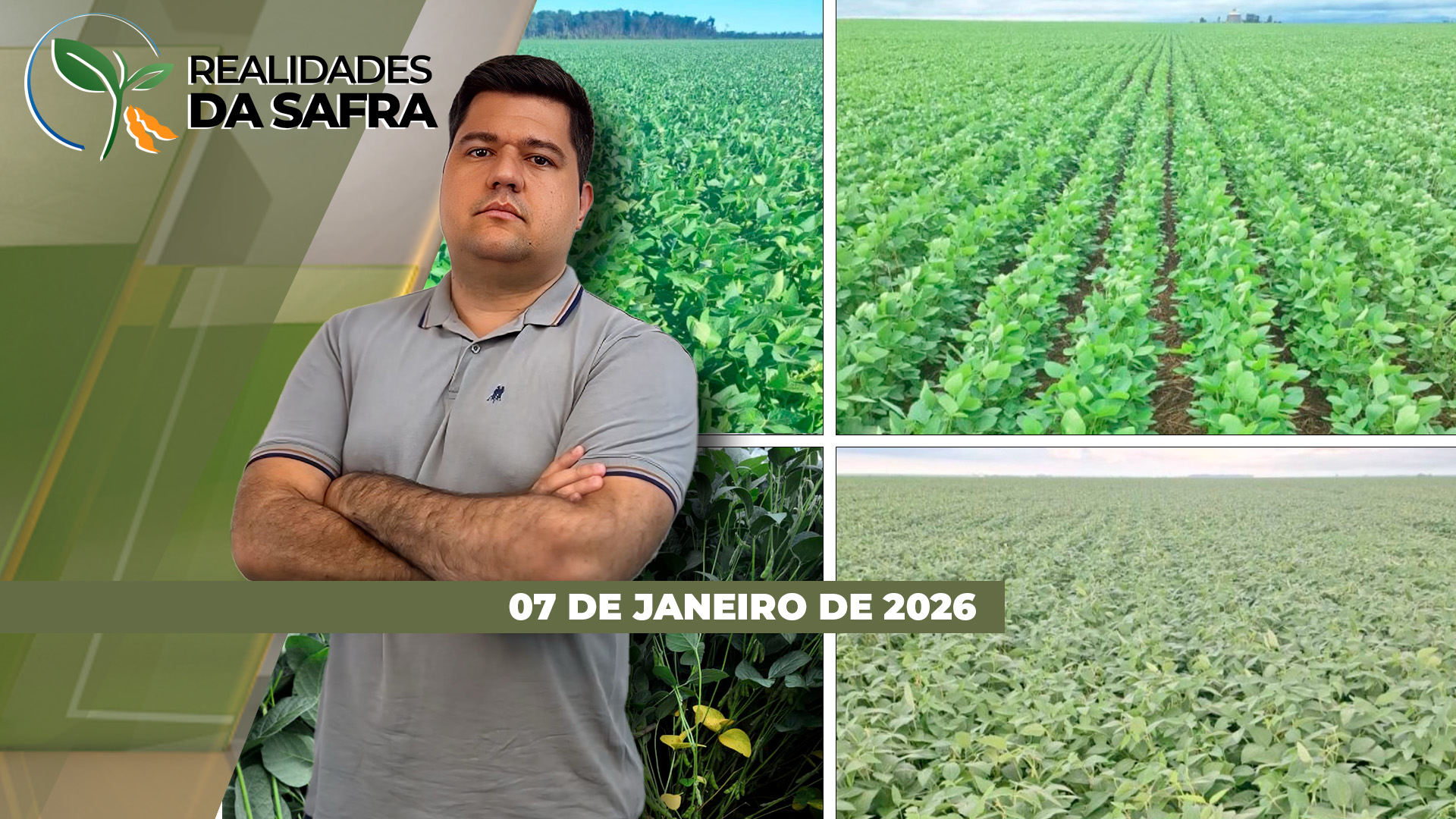 Lavouras de soja seguem se desenvolvendo em Campo Mourão/PR e Jataí/GO, com colheitas que devem começar em fevereiro