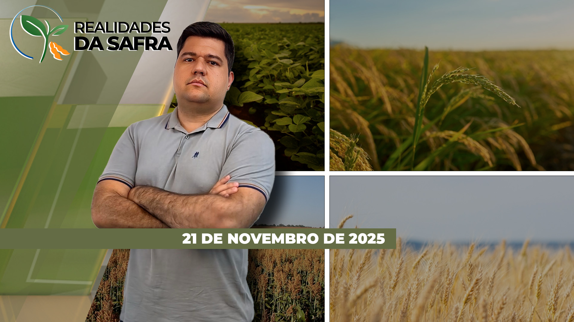 Falta de chuvas afeta soja do Mato Grosso, enquanto excesso de precipitações tira qualidade do trigo no Rio Grande do Sul