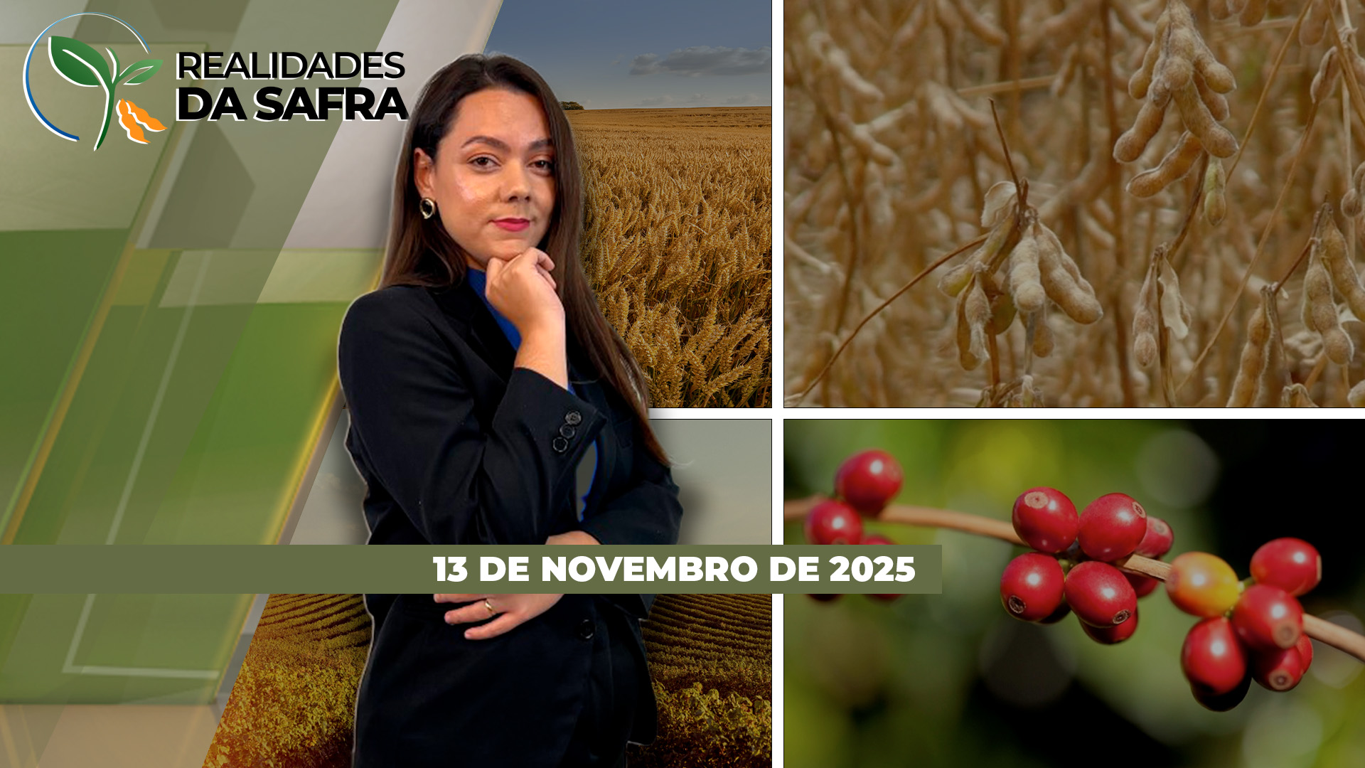 Soja se desenvolve bem do sul do Paraguai, enquanto fungos de solo preocupam produtores em Sertanópolis/PR