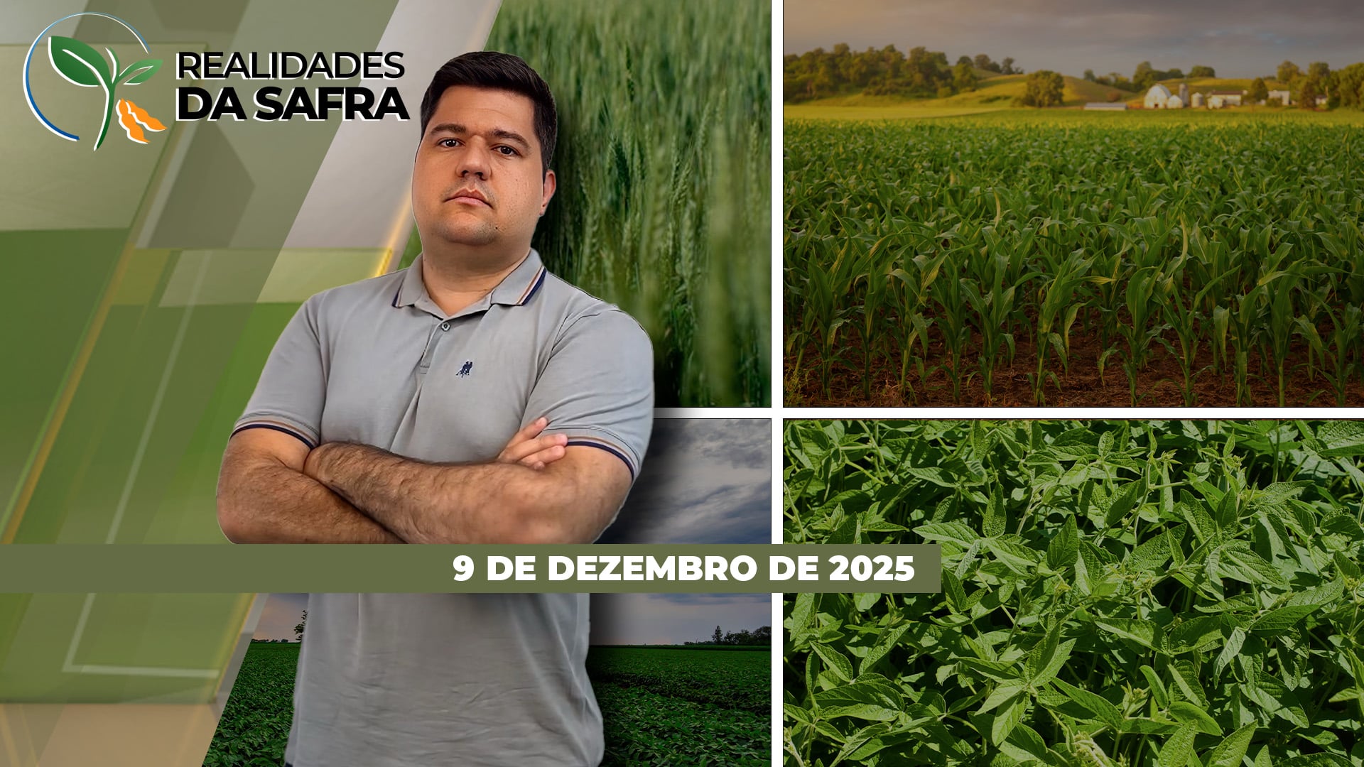 Lavouras de soja estão se desenvolvendo bem em Campo Novo do Parecis/MT e em Santa Catarina