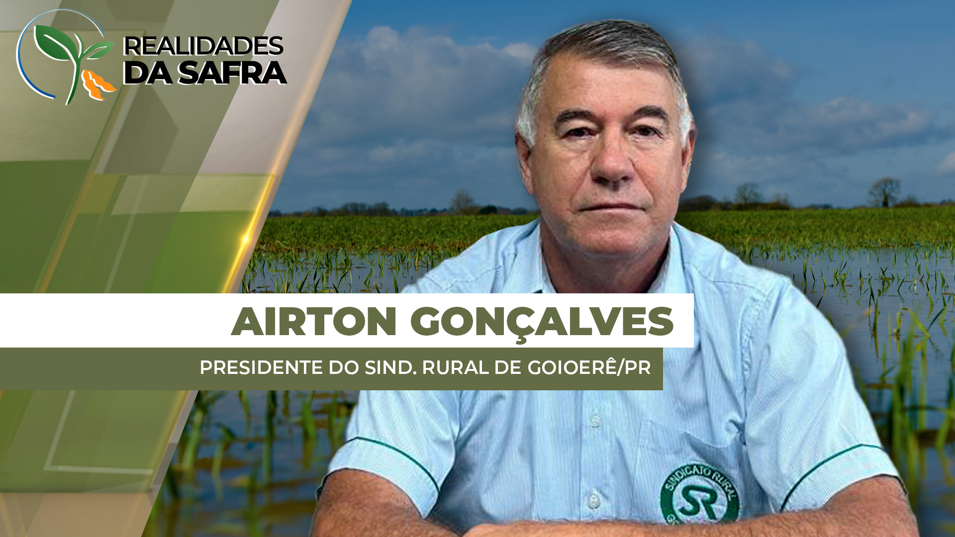 Soja se desenvolvia bem em Goioerê/PR, mas fim de semana com muita chuva trouxe prejuízo