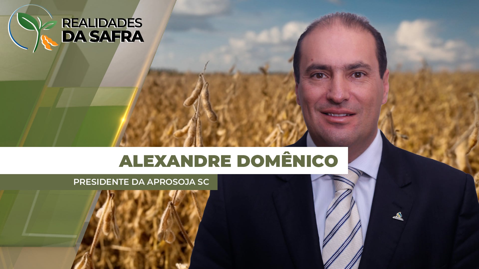 Soja e milho verão apresentam bom desenvolvimento em Santa Catarina