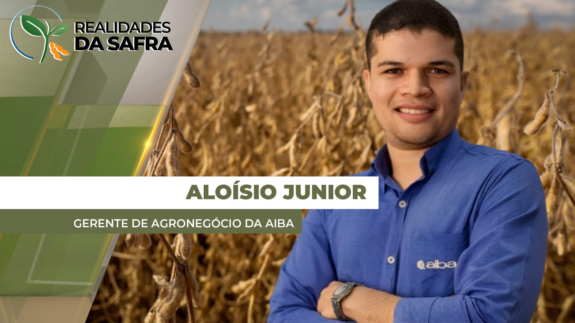 Bahia já colheu 1,7% da safra de soja, mas chuvas dificultam avanço dos trabalhos