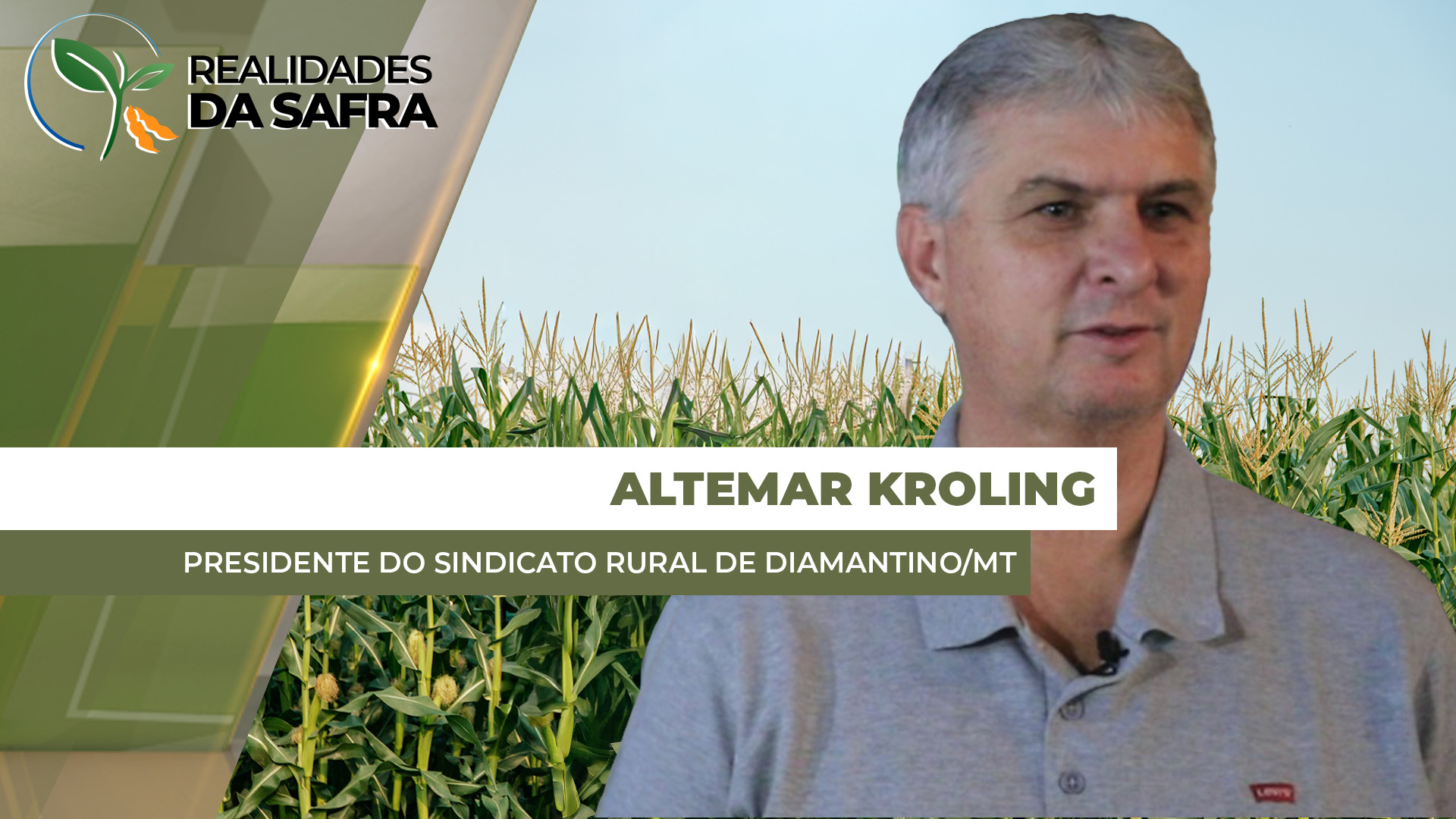 Colheita da soja chega a 15% em Diamantino/MT com boas produtividades