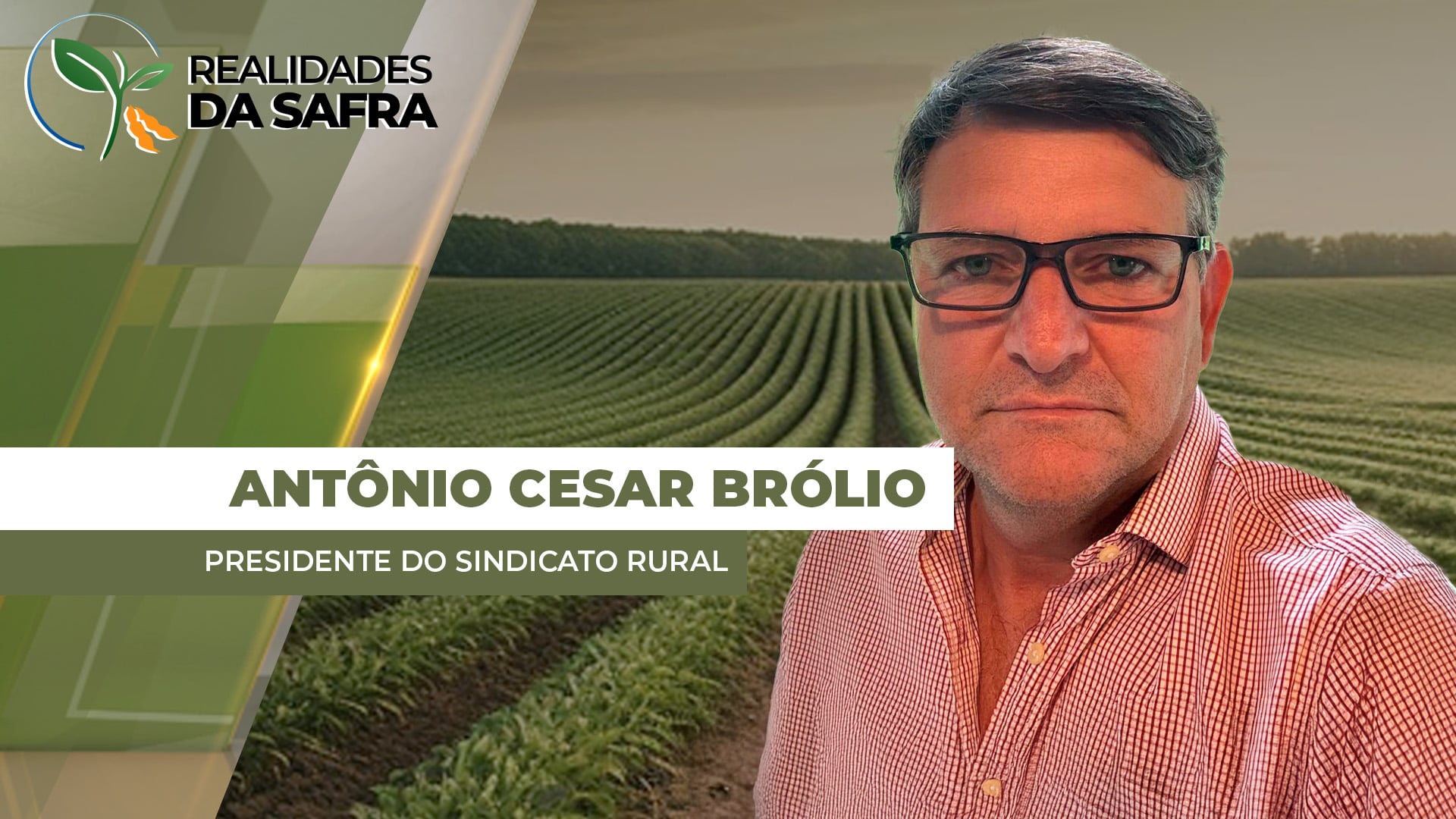 Lavouras de soja estão com boas condições de desenvolvimento em Campo Novo do Parecis/MT