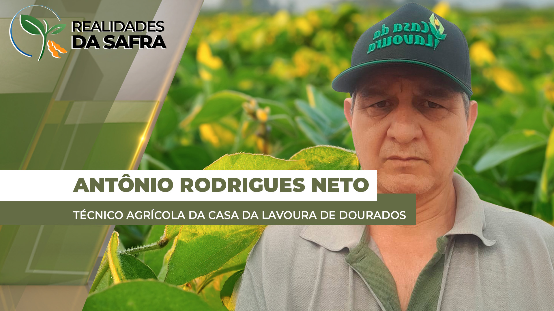 Primeiras áreas de soja colhidas em Laguna Carapã/MS chegam em até 80 sc/ha