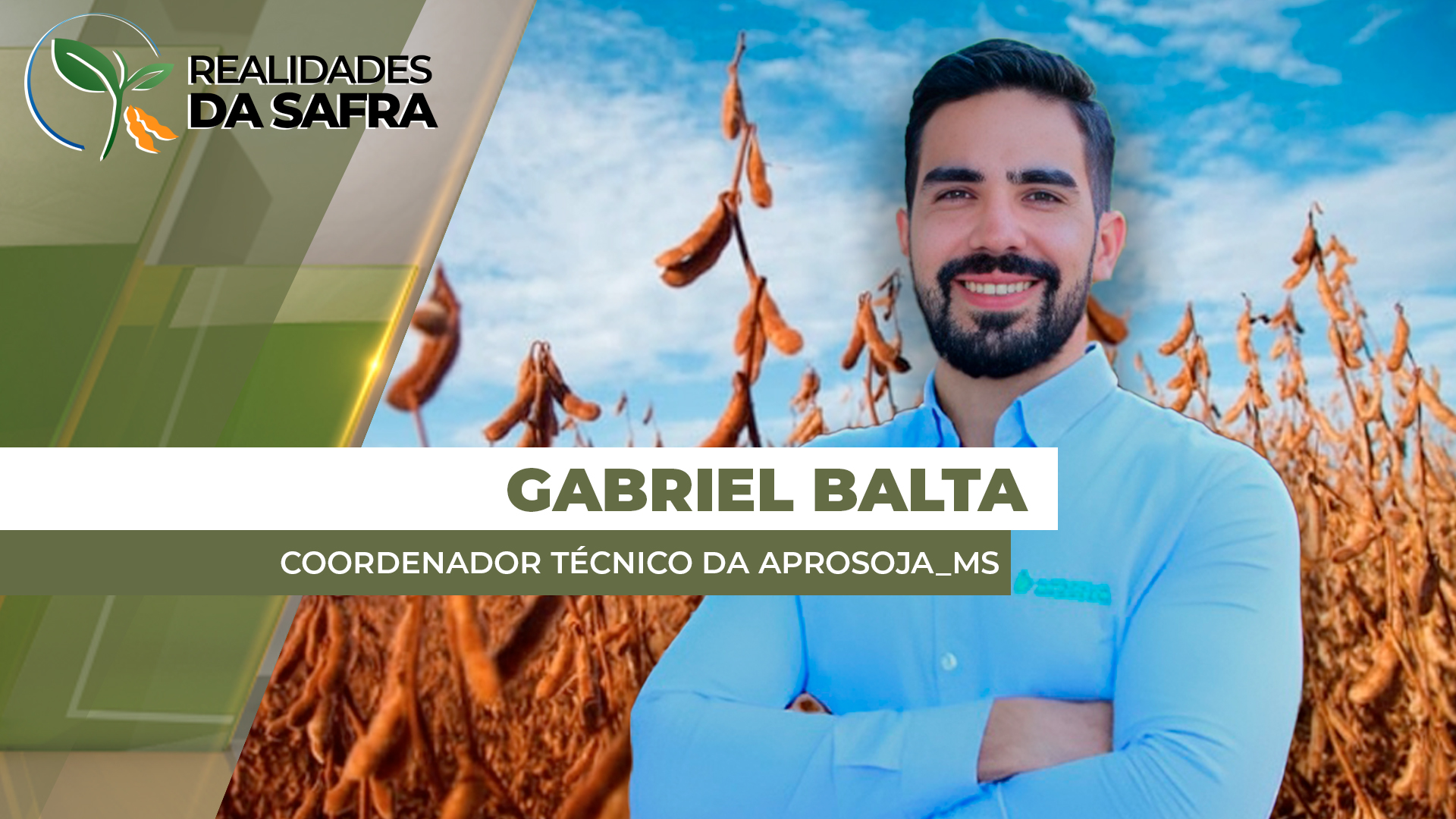 Mato Grosso do Sul já plantou quase metade da safra de soja e tem bom desenvolvimento das lavouras