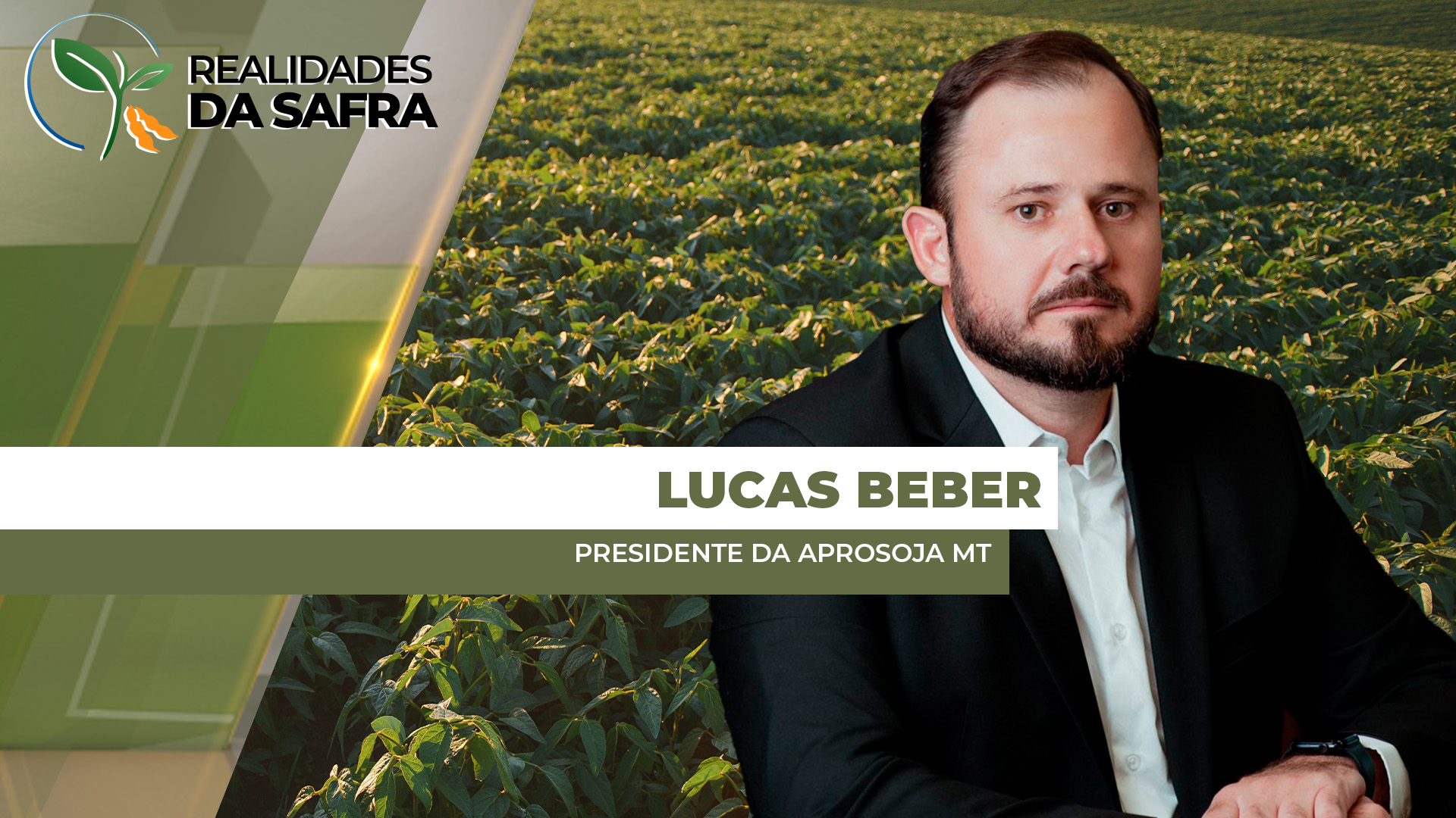 Irregularidades da chuvas segue desafiando a safra de soja no Mato Grosso, aponta Aprosoja MT