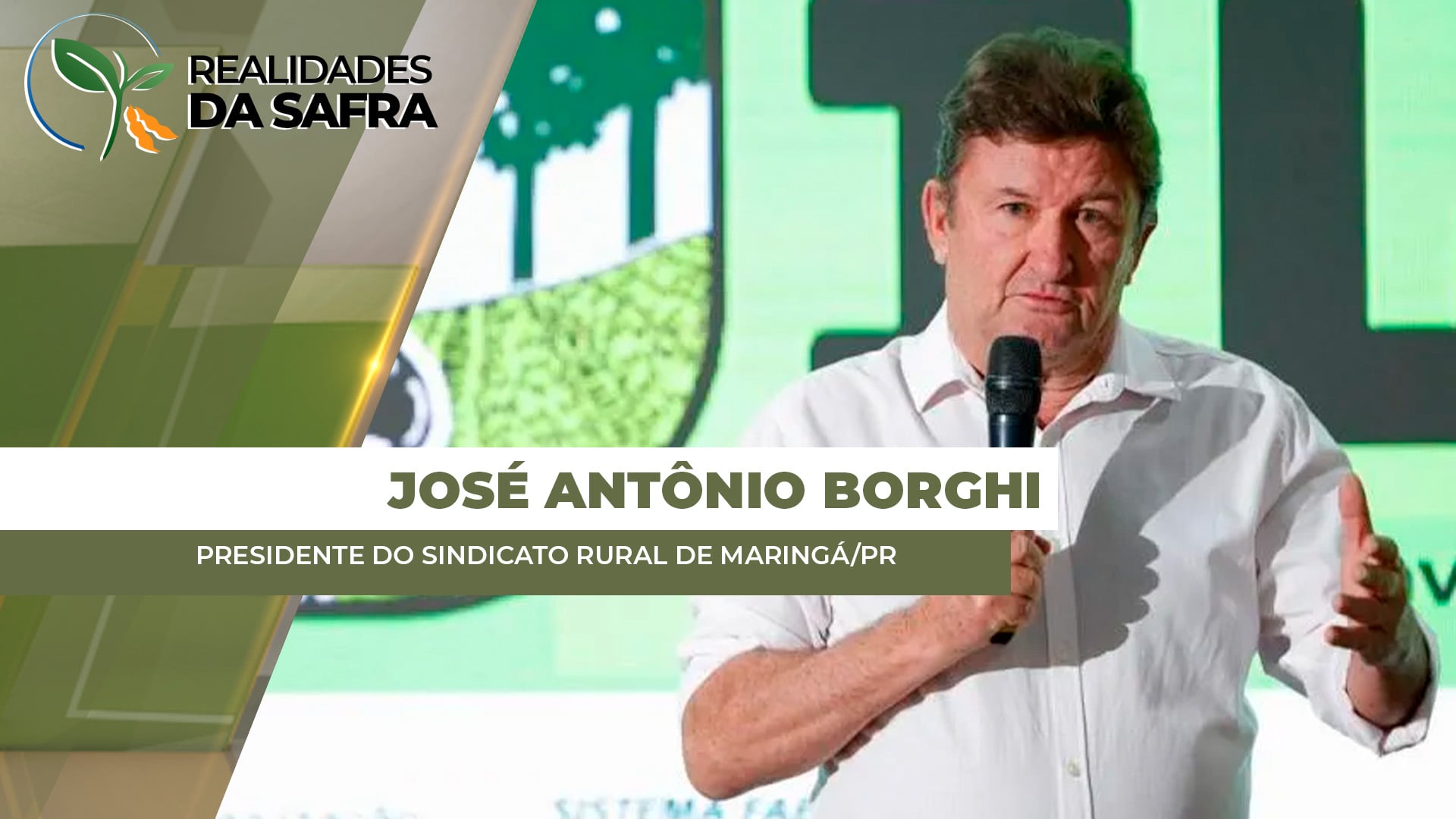 Após chuvas intensas e granizo, doenças radiculares avançam e estiagem intensifica perdas na safra de soja em Maringá/PR