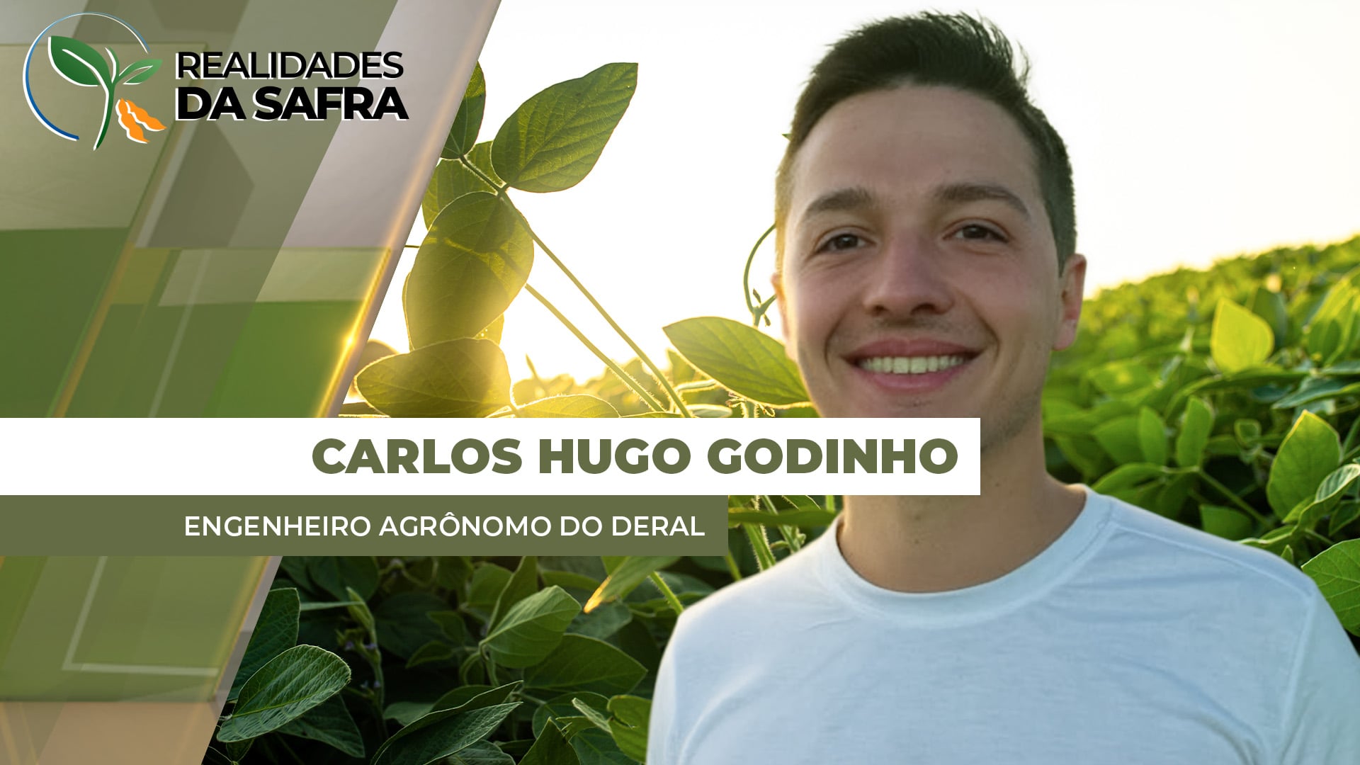 Virada de ano chuvosa ajuda desenvolvimento da soja em São Pedro do Sul/RS