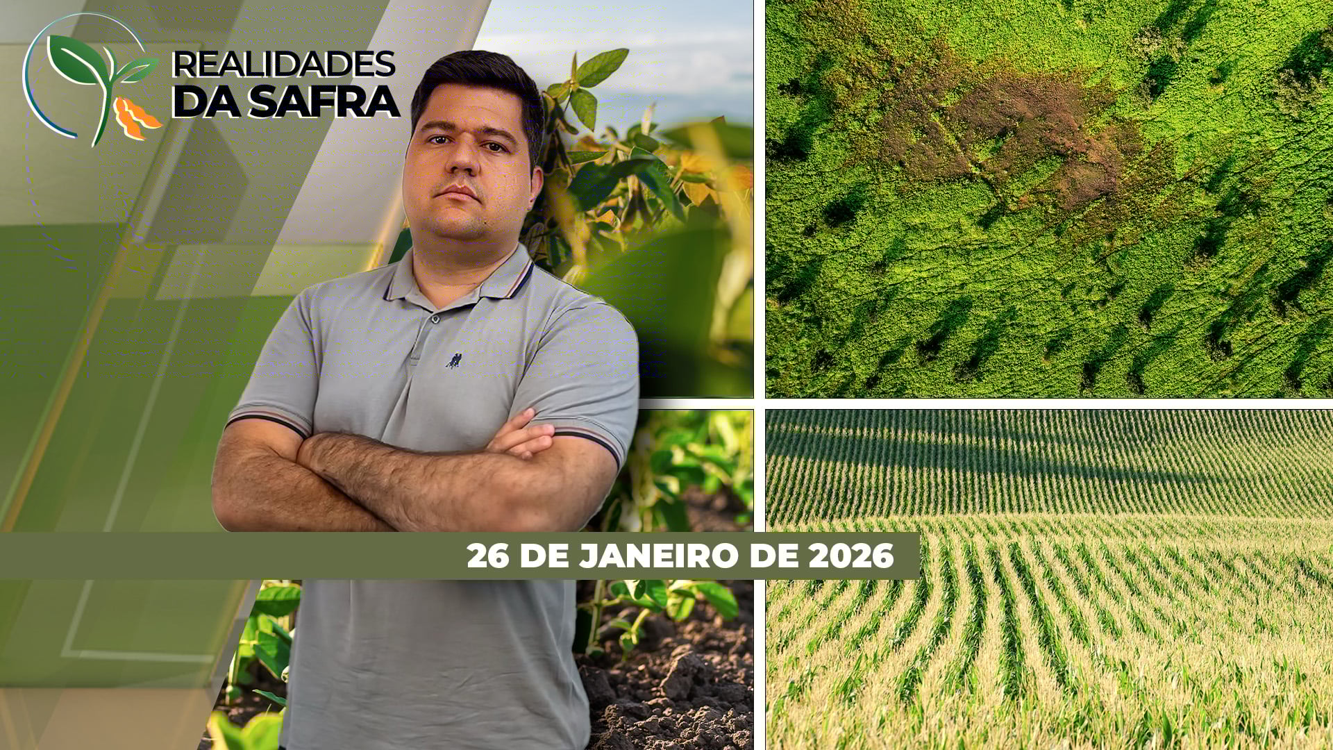 Colheita da soja começa com boas produtividades em Diamantino/MT, mas quedas de produtividade em Ipameri/GO