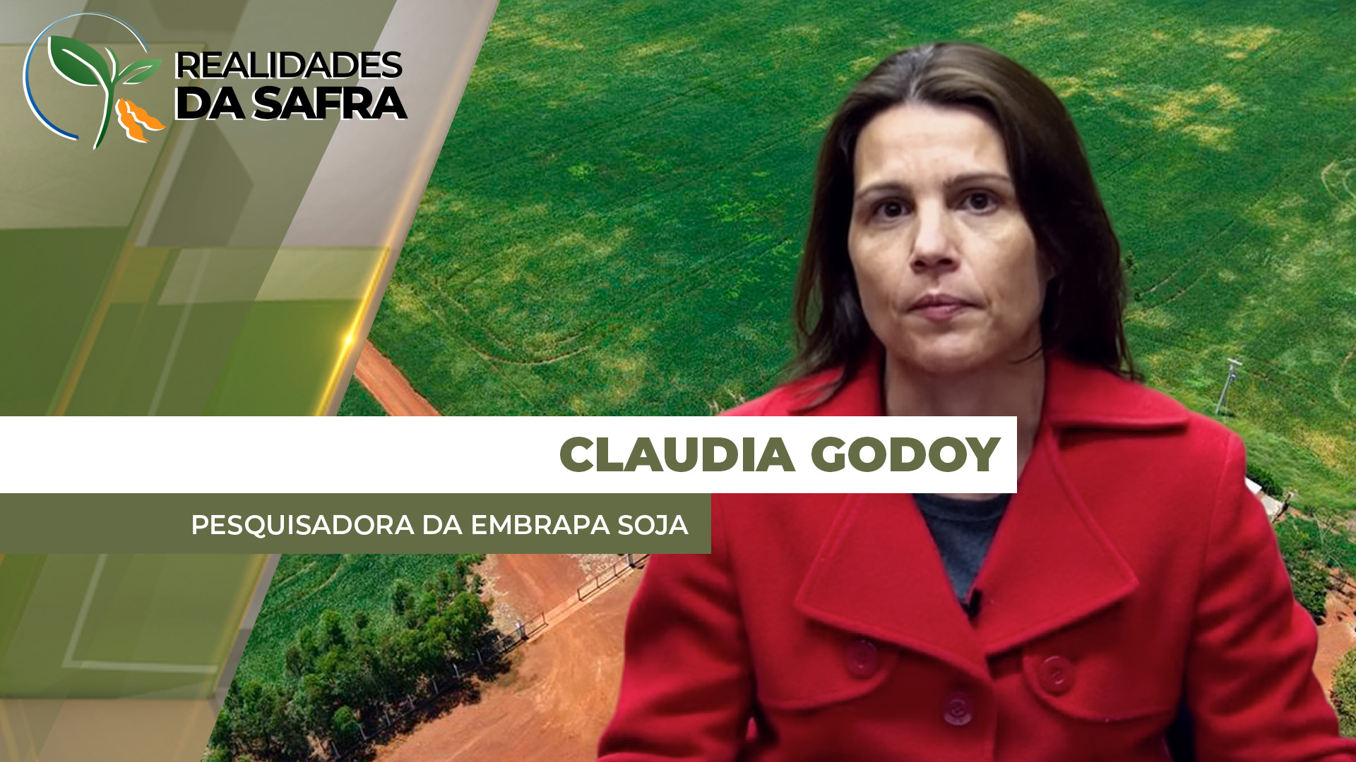 Região Sul lidera casos de ferrugem asiática e produtores precisam redobrar atenção nessa reta final de ciclo