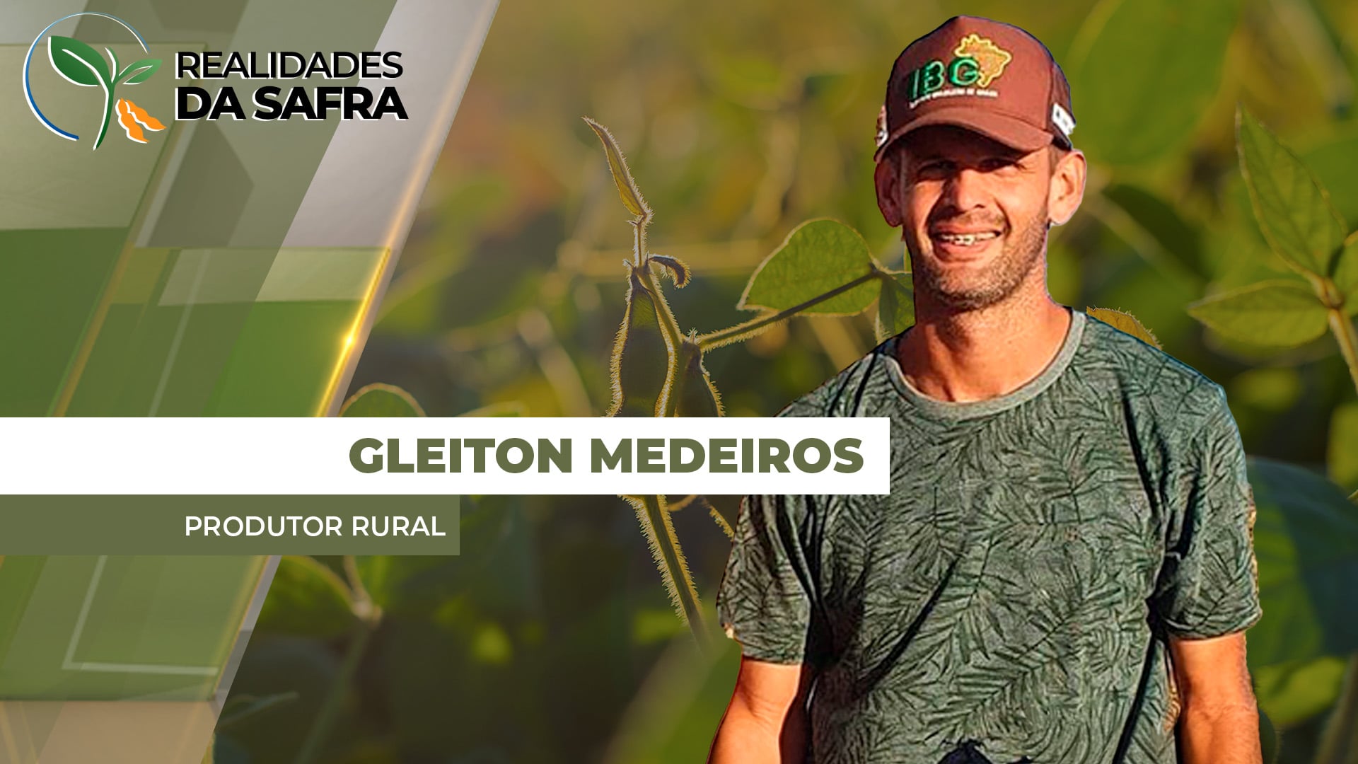 Sealba fecha safra de milho irregular em termos de qualidade dos grãos