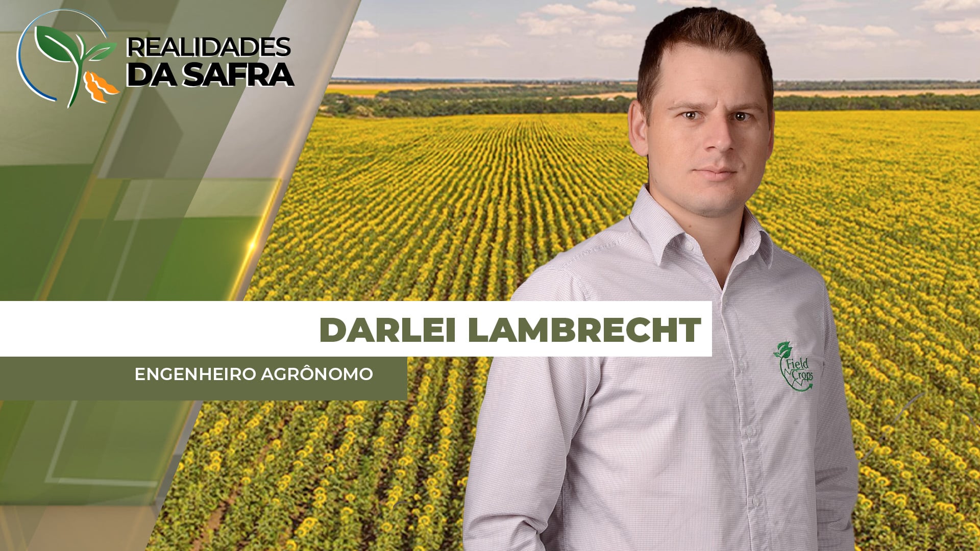 Plantio Antecipado no Oeste da Bahia gera replantio, enquanto Mato Grosso avança na safra