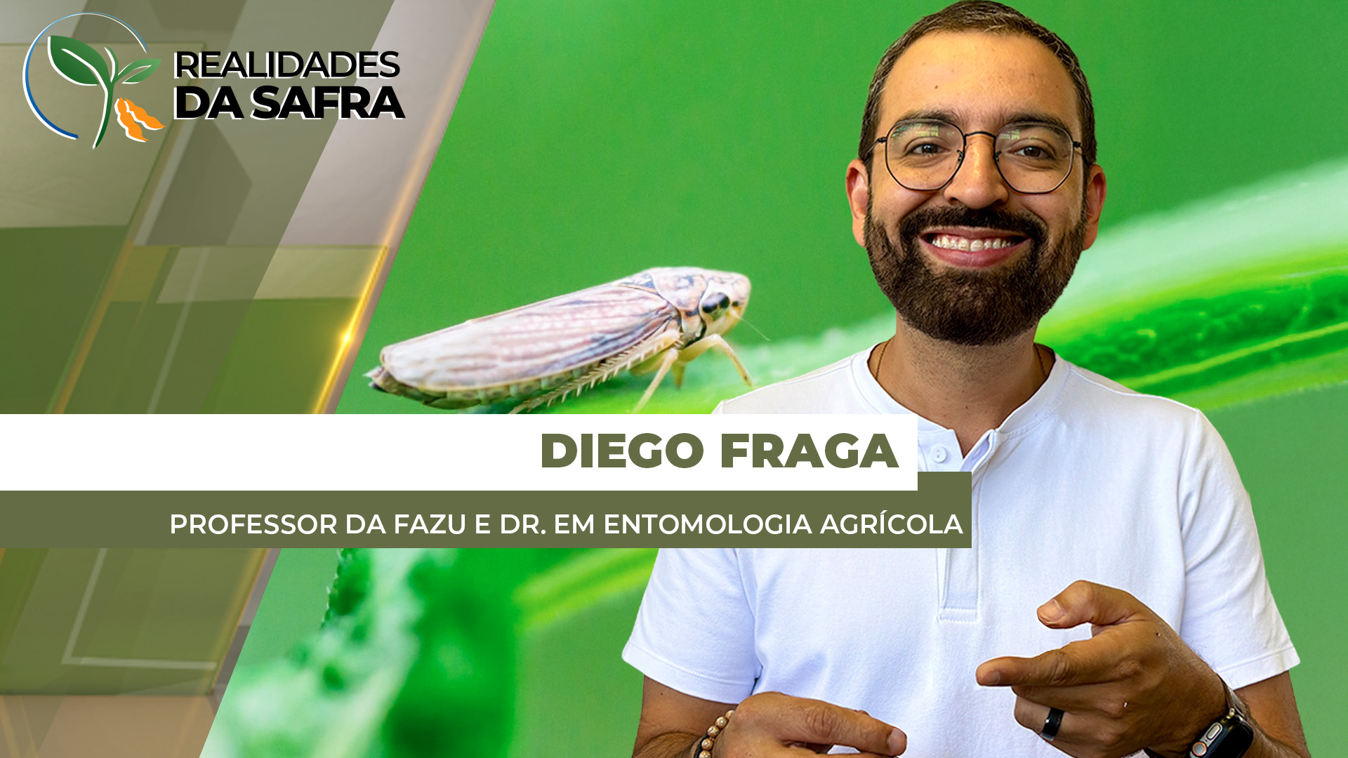 Observatório da Cigarrinha-do-Milho será lançado em Uberaba/MG