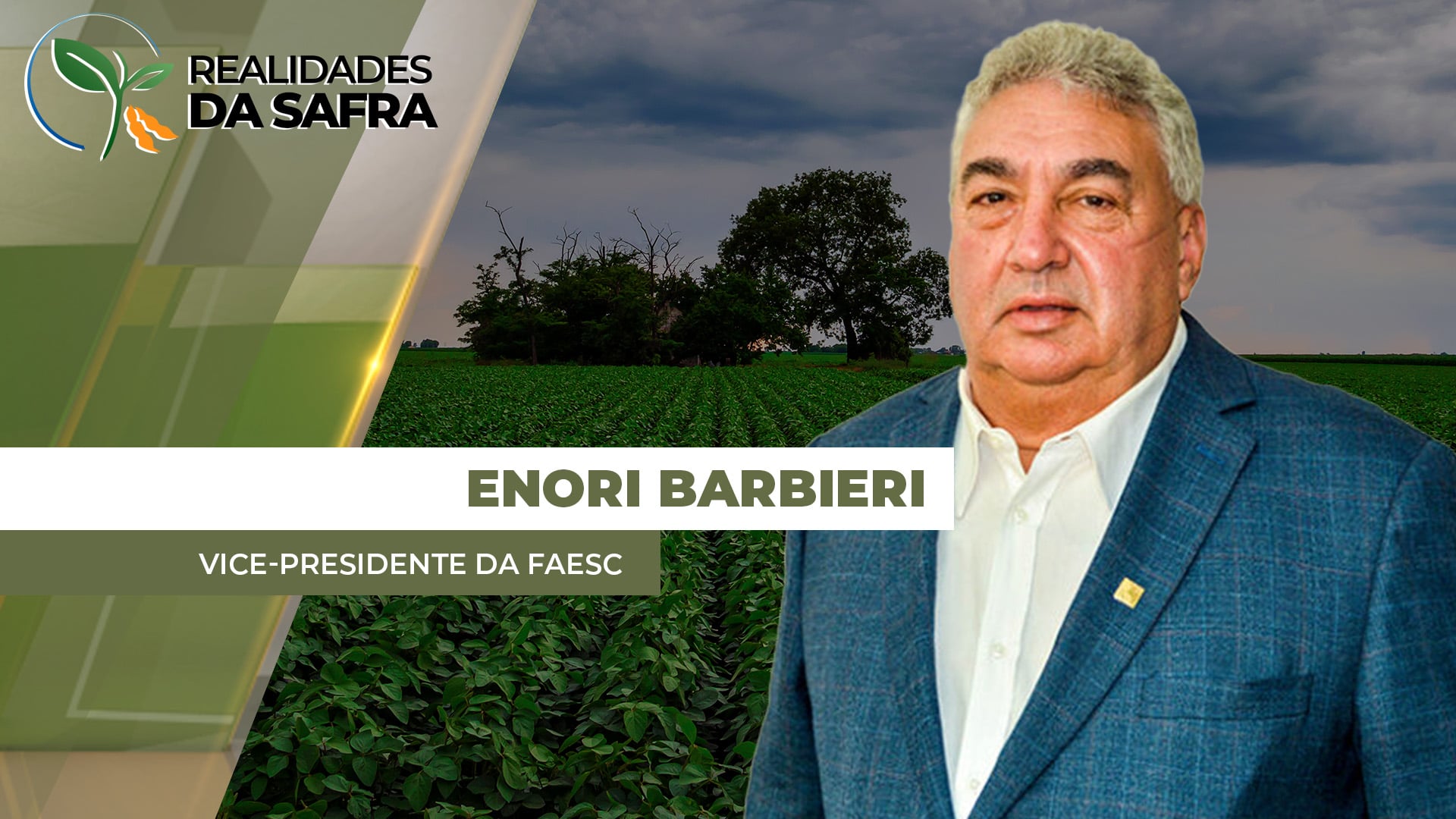 Plantio da soja na reta em final em Santa Catarina