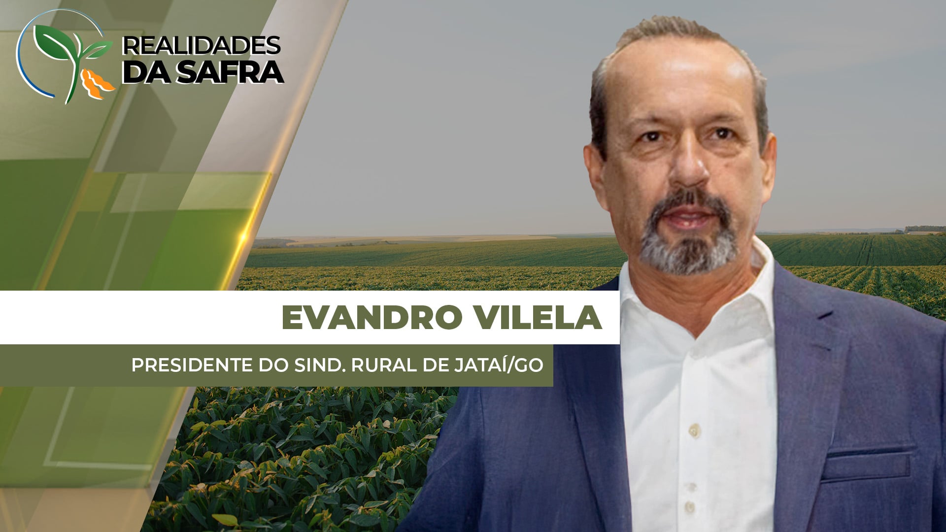 Outubro e novembro muito secos já tiraram potencial produtivo da soja em Jataí/GO