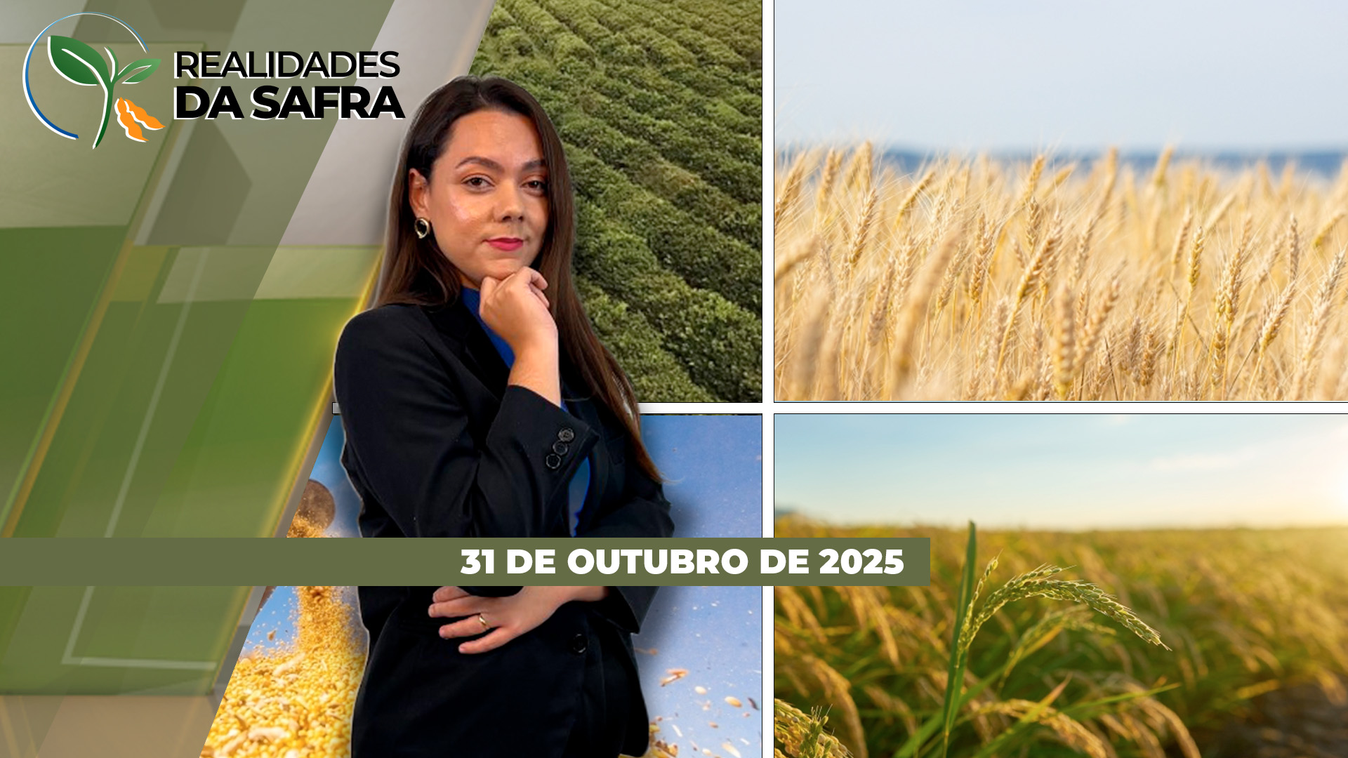 Realidades da Safra Realidades da Safra