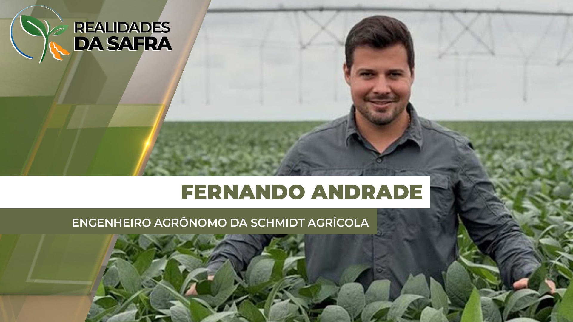 Tocantins e Bahia tiveram bom desenvolvimento da soja após início complicado com falta de chuvas