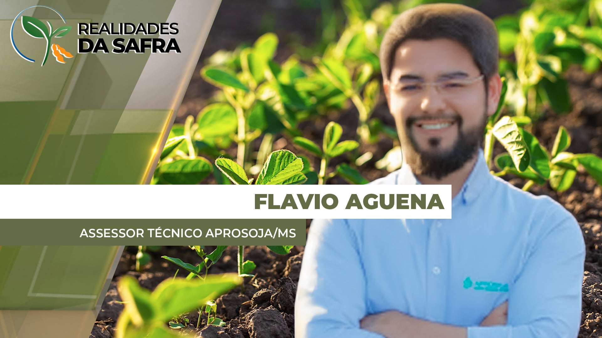 Mato Grosso do Sul começa colheita da soja esperando boas produtividades