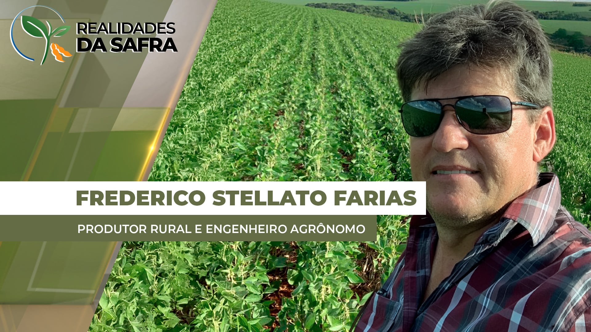 Campo Mourão/PR deve começar a colheita da soja somente em fevereiro