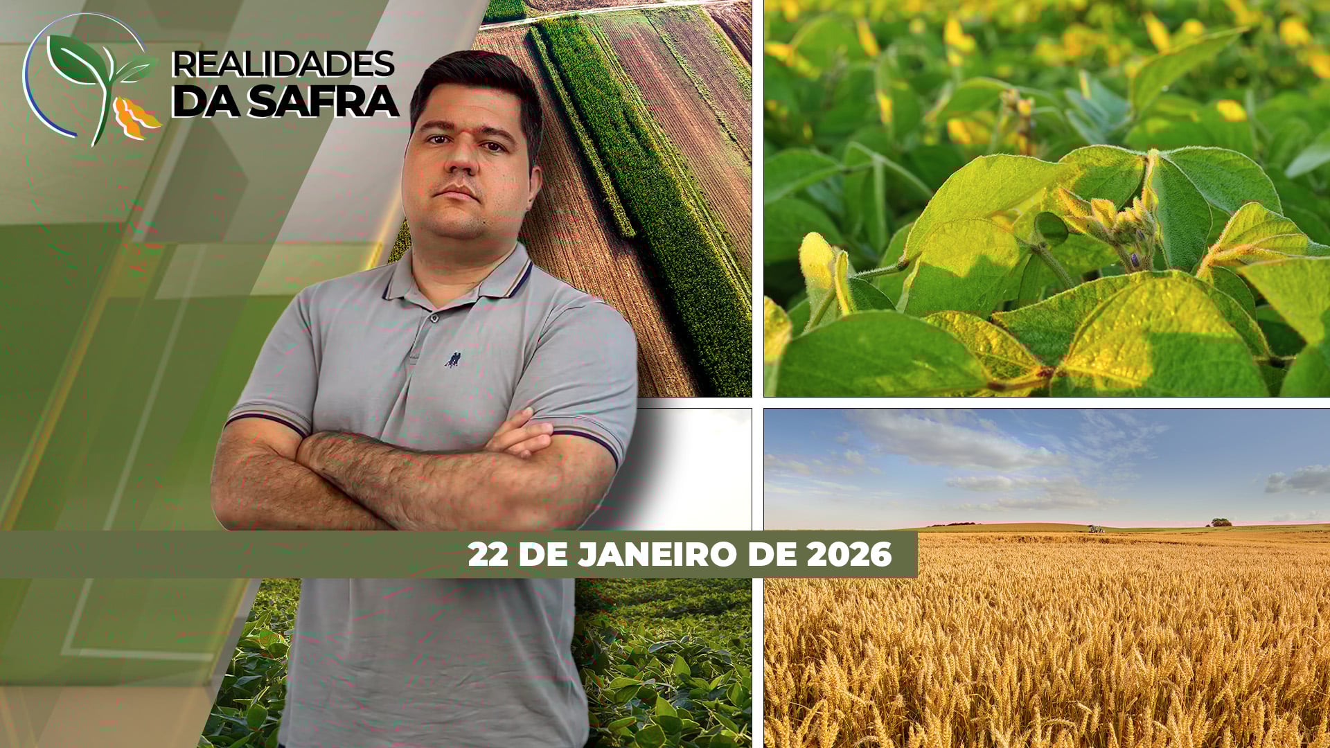 Colheita da soja avança com altas produtividades na Bahia e em Laguna Carapã/MS