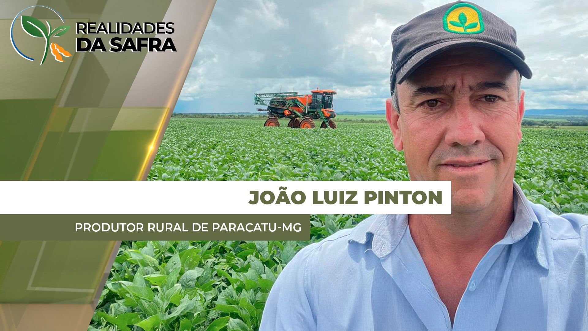 Colheita da soja deve começar na próxima semana em Paracatu/MG