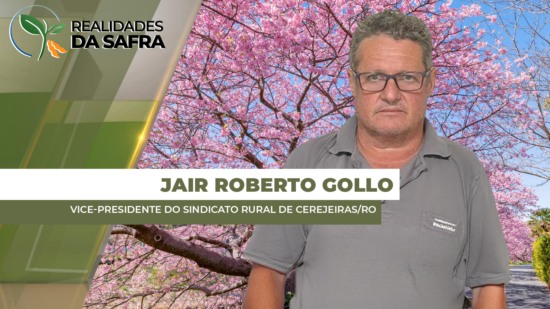 Cerejeiras/RO está finalizando plantio da soja com bom desenvolvimento das áreas após volta das chuvas