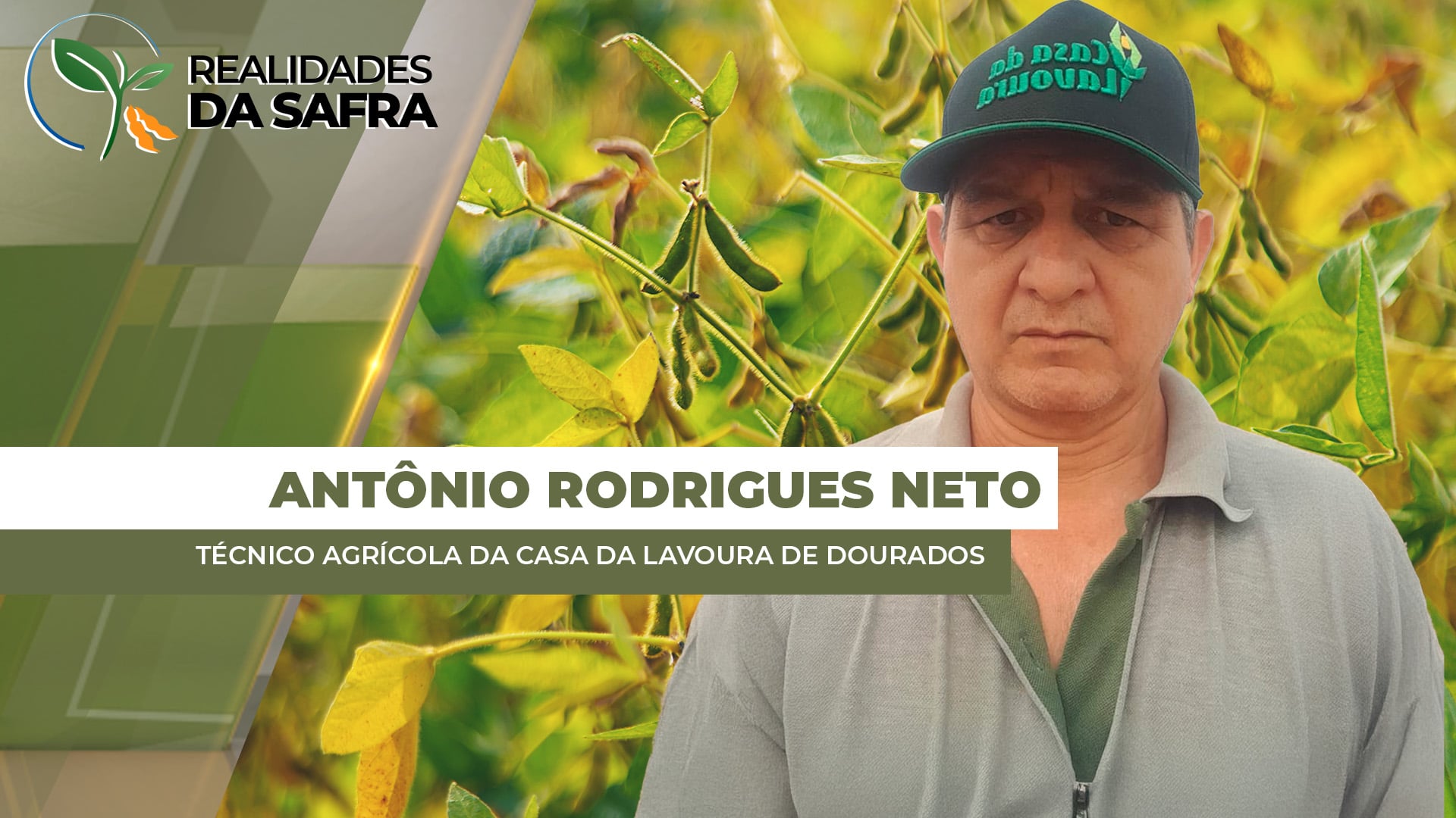 Clima favorece soja em Laguna Carapã/MS, mas avanço do percevejo marrom acende alerta