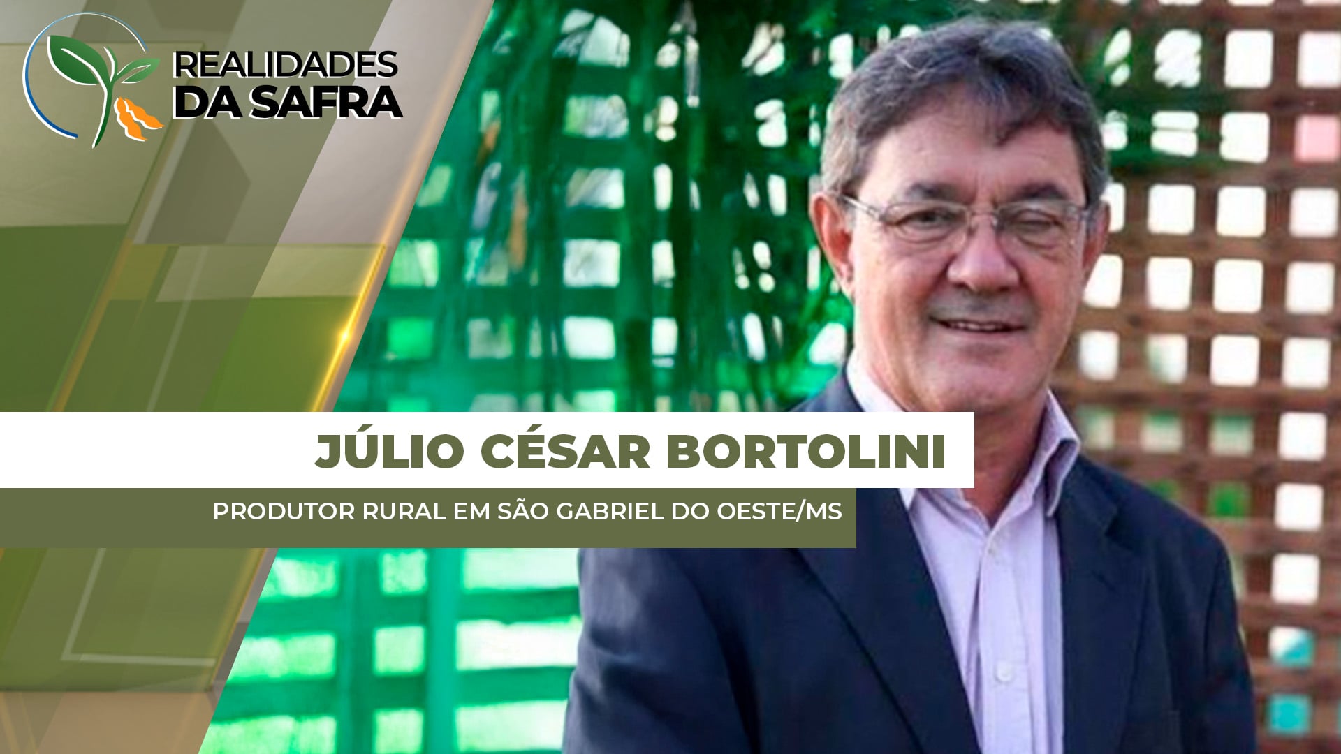 São Gabriel do Oeste/MS tem chuvas irregulares e impacto no desenvolvimento da soja