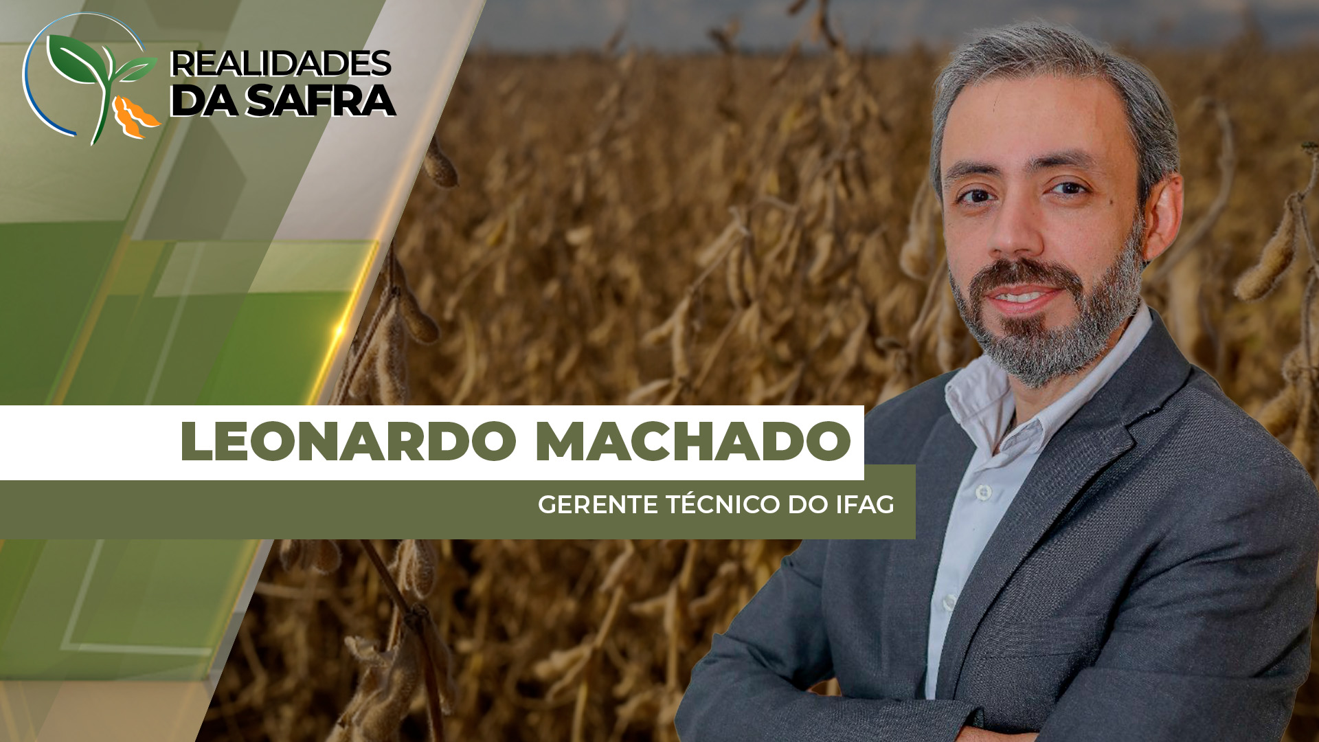 Goiás plantou apenas 65% da soja e alerta está ligado para safrinha de milho