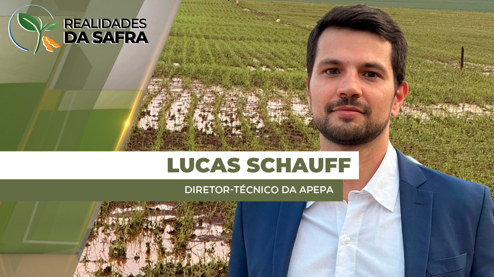 Temporal do Paraná afetou plantas de soja, mas também causou erosão e perda de palhada