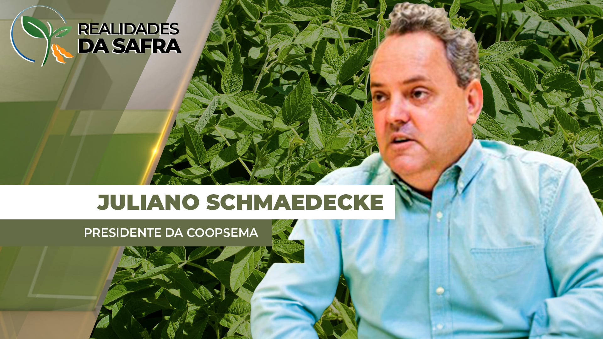 Após início de safra excelente, Maracaju/MS passa por 15 dias de calor que afeta a soja