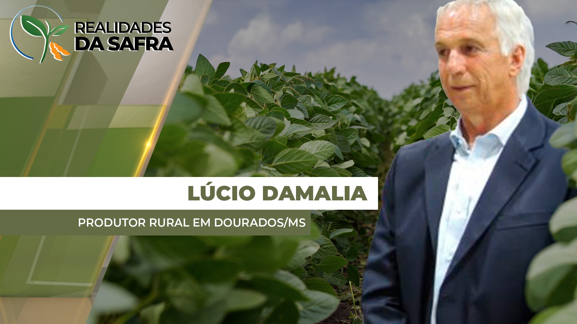 Lavouras de soja receberam chuvas e se desenvolvem bem na região de Dourados/MS