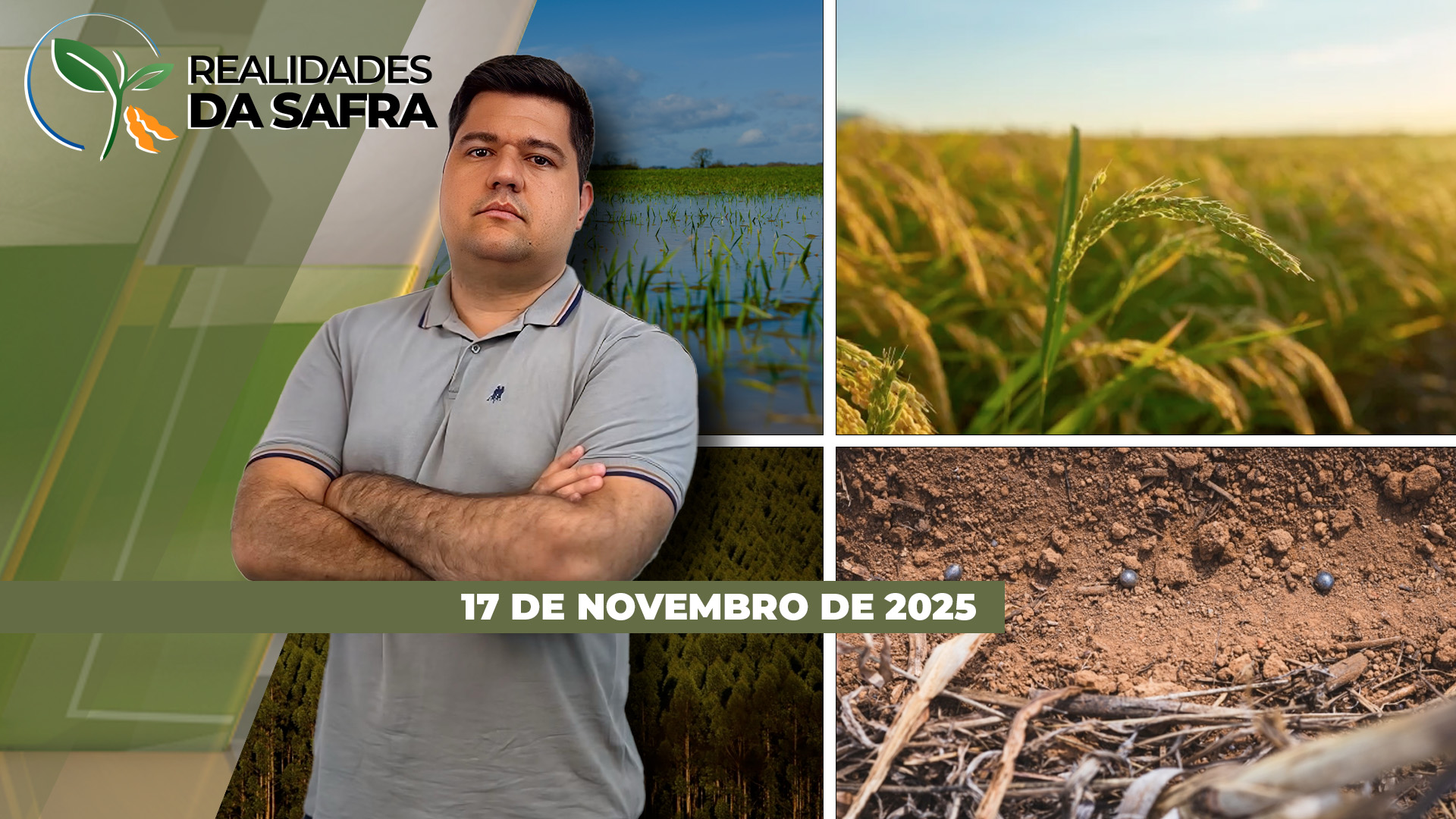 Soja de Goiás e de Diamantino/MT segue sofrendo com falta de chuvas e pode haver perda de potencial produtivo