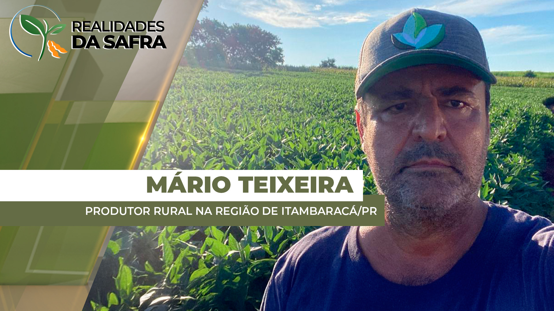 Itambaracá/PR alcança 90% da área de soja plantada e mantém boas expectativas de produtividade