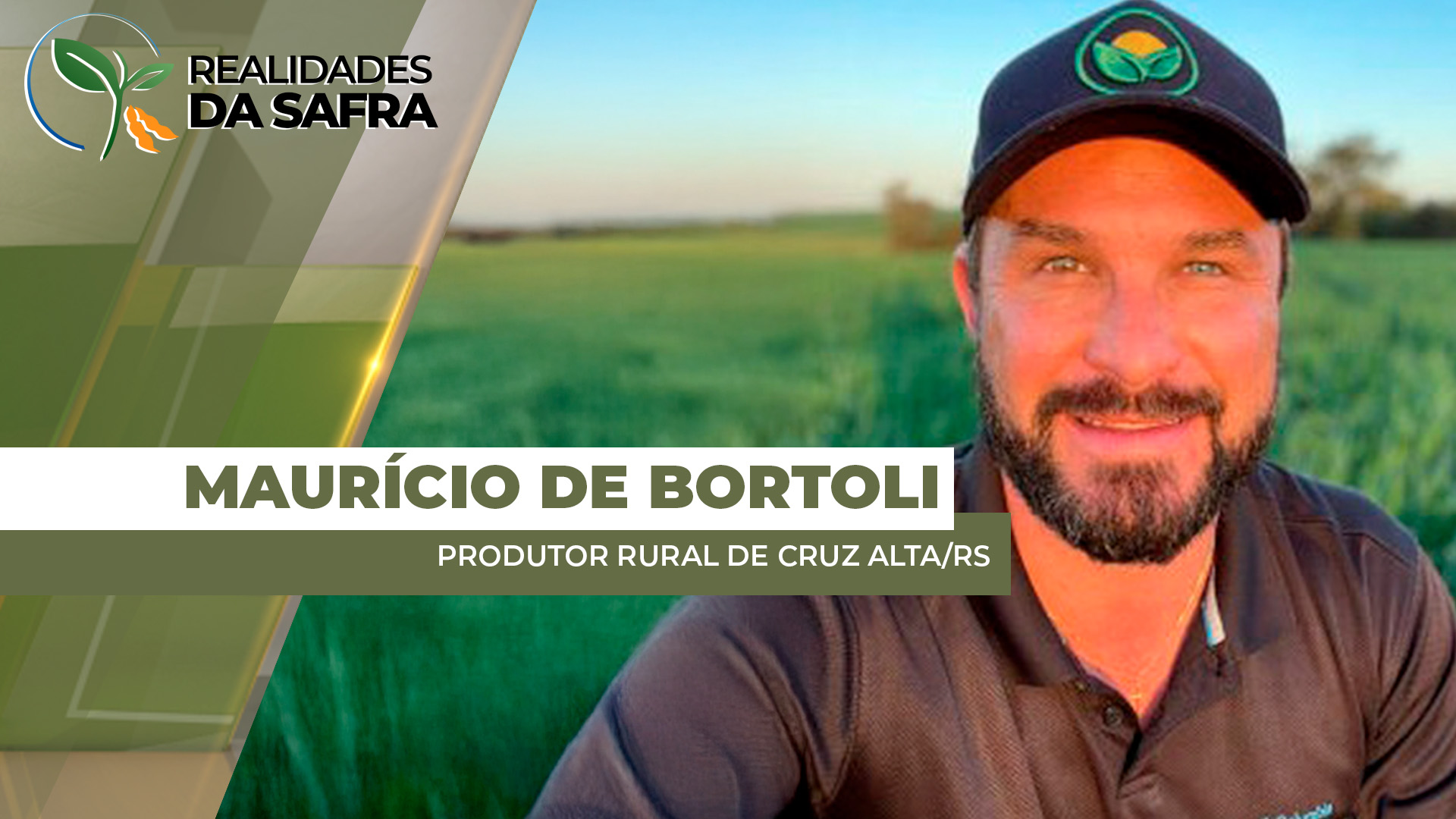 Plantio de soja alcança 40% na região de Cruz Alta/RS, enquanto a colheita do trigo se encaminha para a reta final