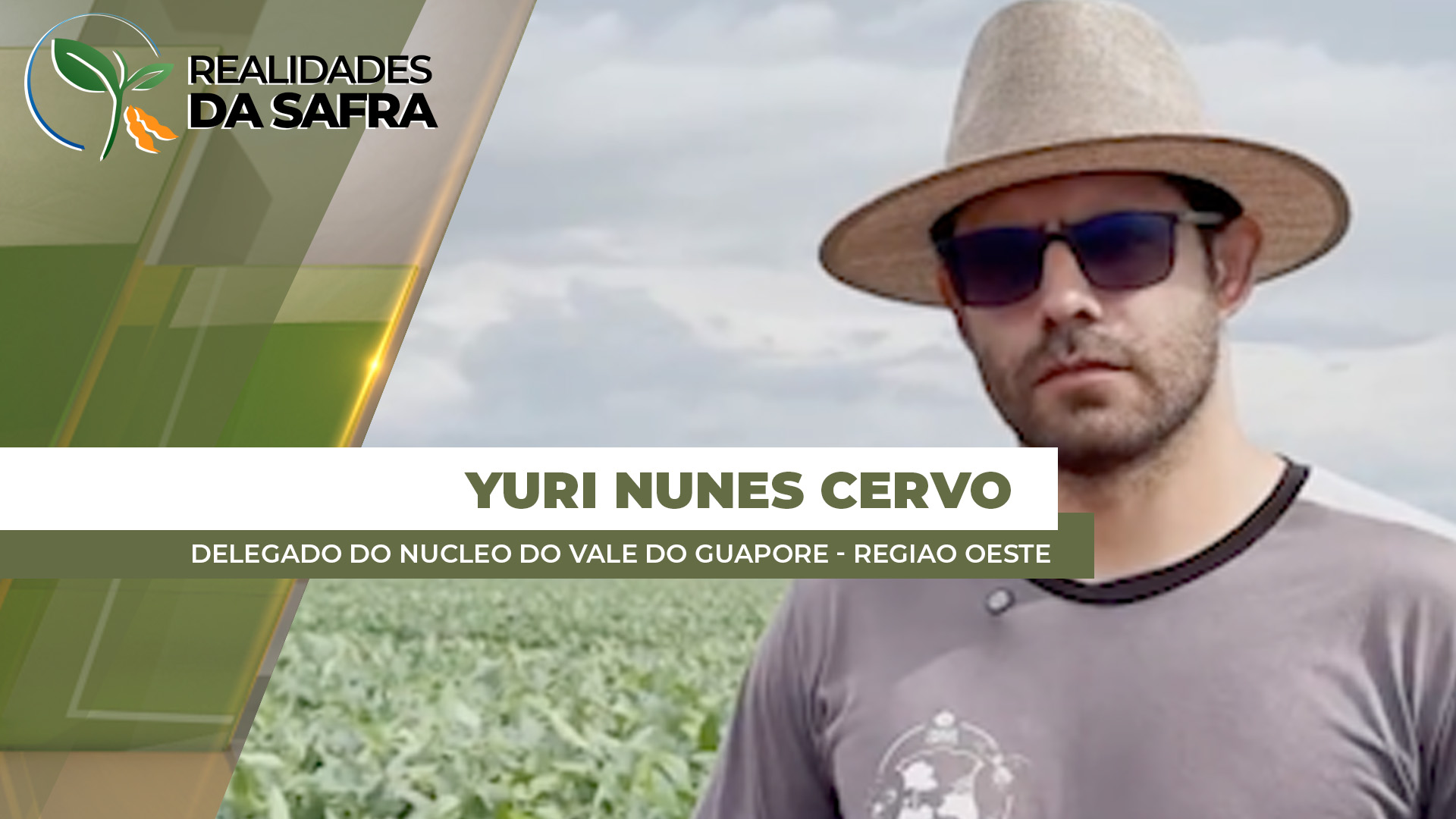 Região de Sapezal/MT e Campos de Júlio/MT teve atraso nas chuvas e soja terá menos produtividade