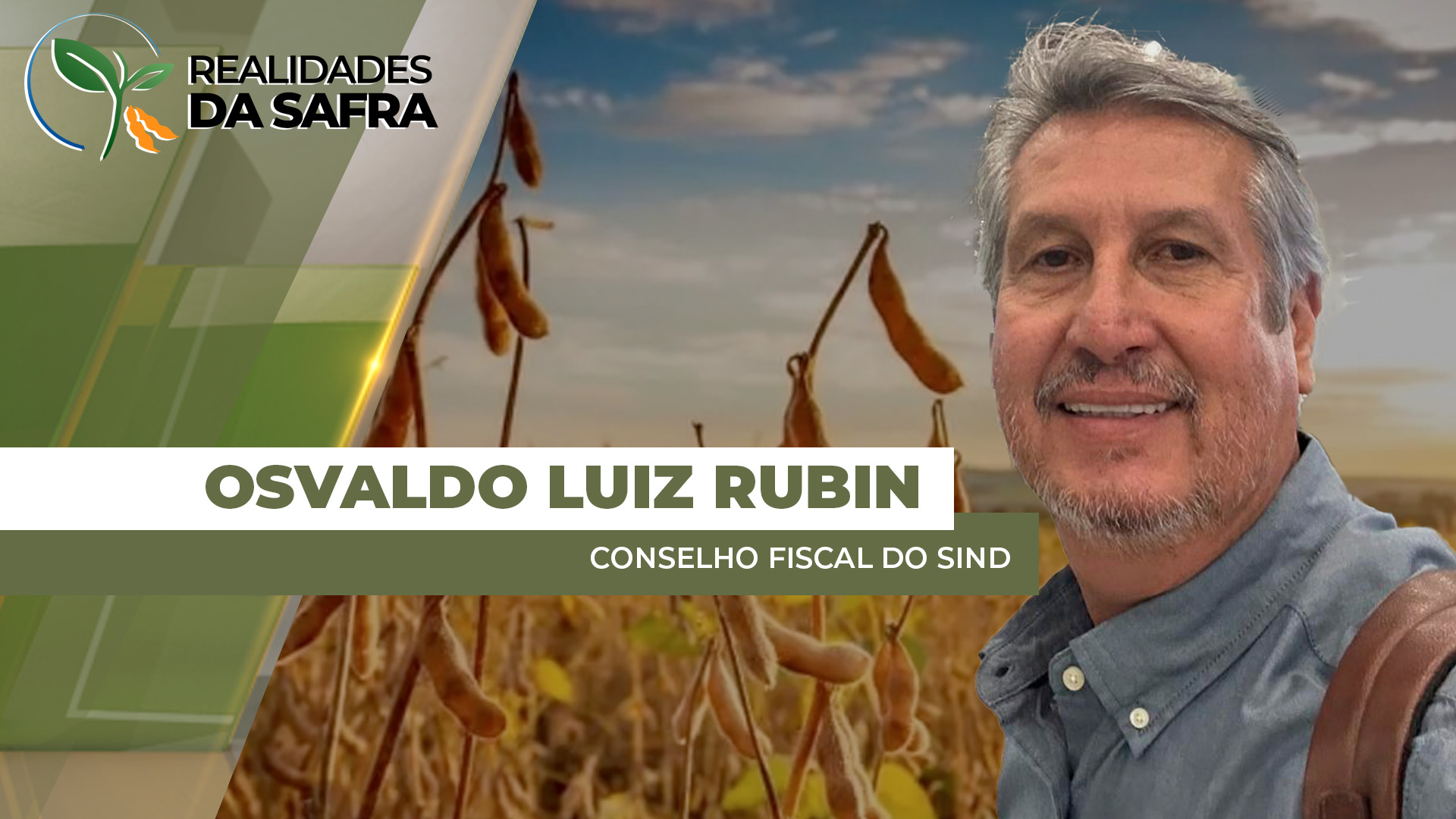 Desenvolvimento da soja segue bastante irregular em Rondonópolis/MT