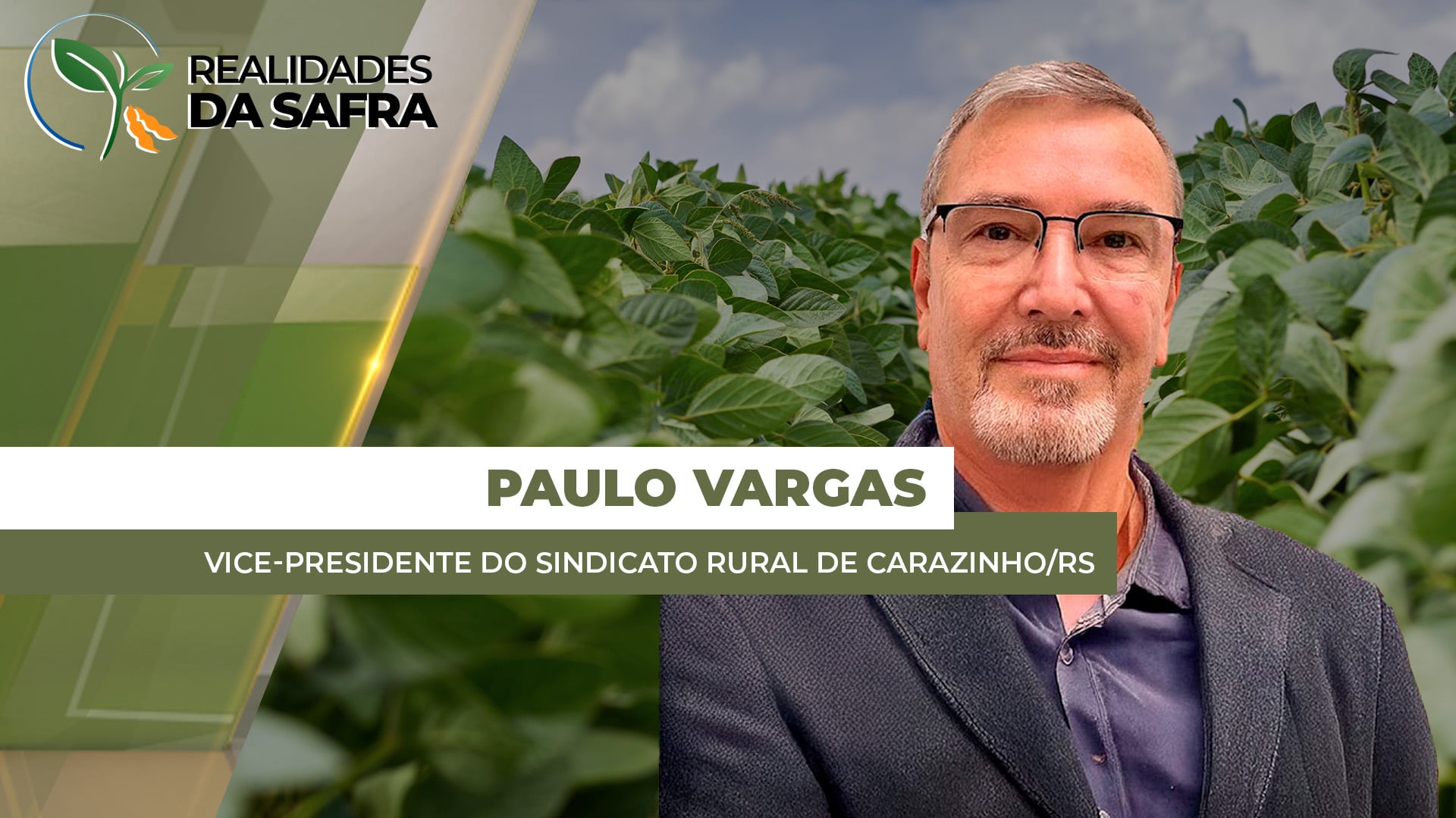 Carazinho/RS tem lavouras de soja em situações distintas de acordo com o volume de chuva recebido