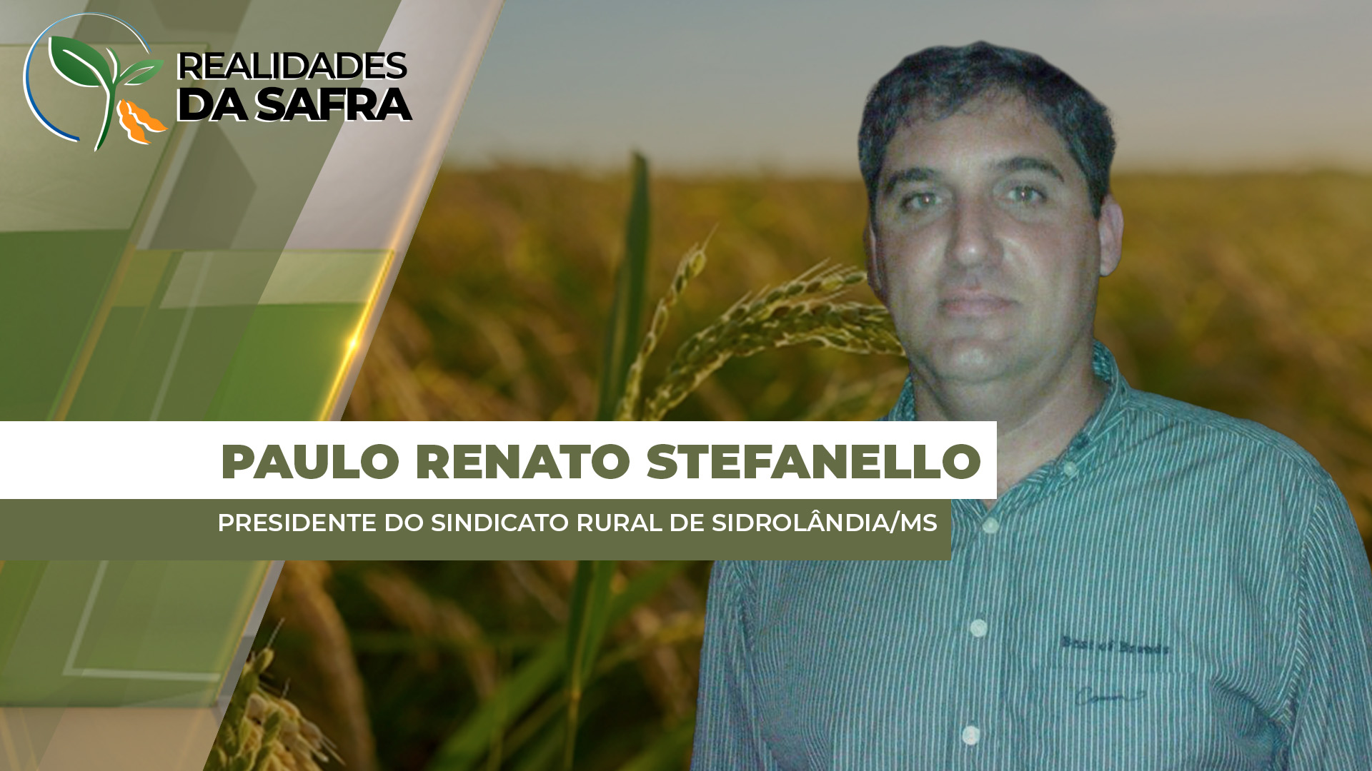 Após plantio começar atrasado, chuvas se normalizaram e soja se desenvolve bem em Sidrolândia/MS