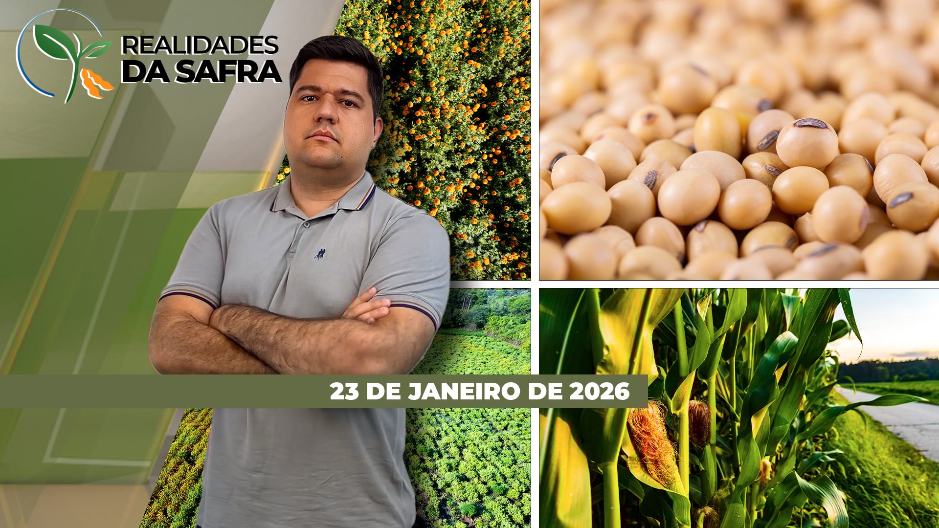 Pressão da ferrugem aumenta e alerta produtores e excesso de chuvas traz danos nas lavouras de café