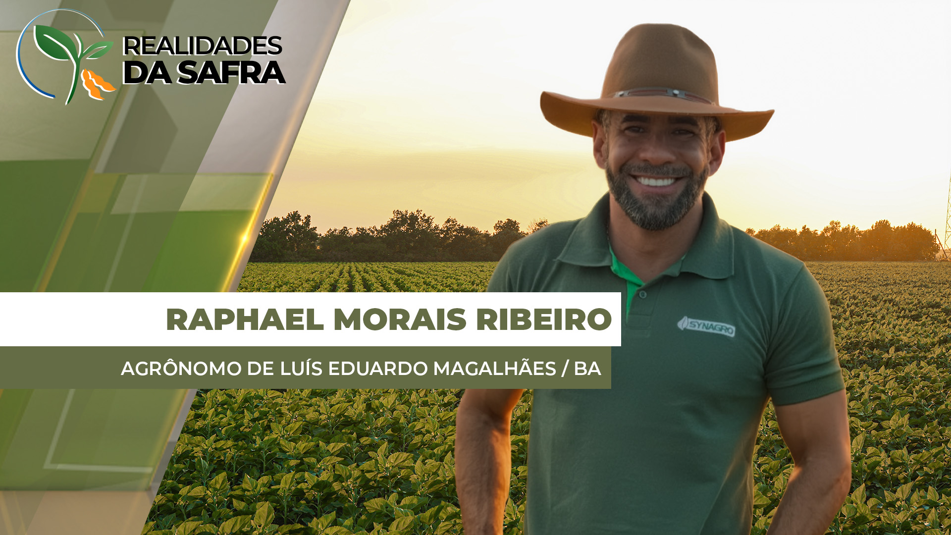 Colheita da soja começa nas áreas de pivô em Luís Eduardo Magalhães/BA