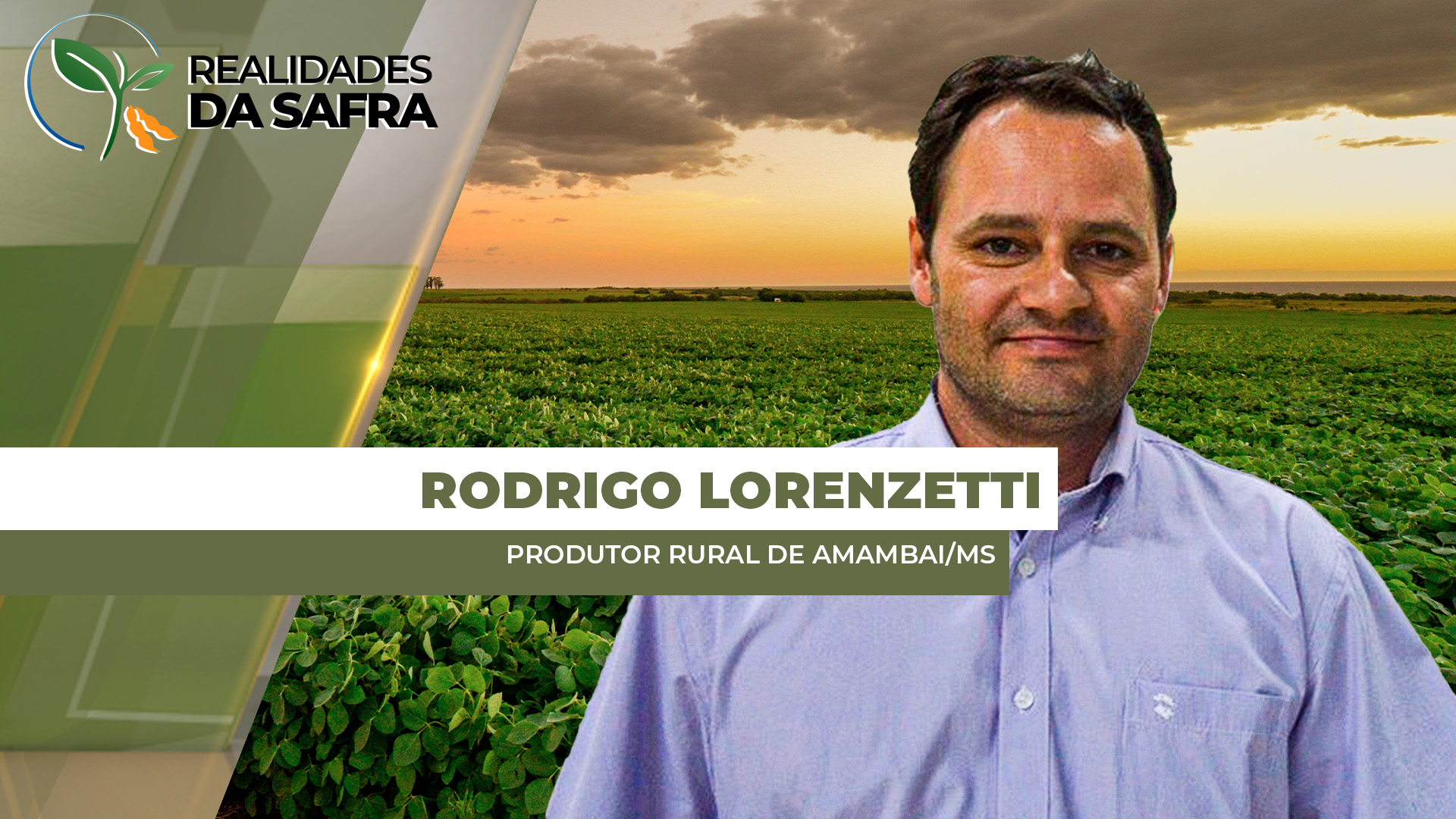 Plantio da soja entra na reta final em Amambai/MS, mas preços preocupam produtores