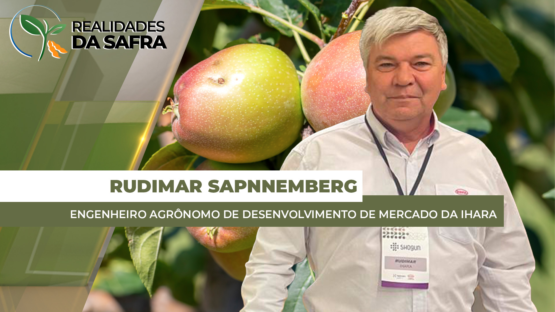 Safra de maçã começa a ser colhida com projeção de até 30% mais produção